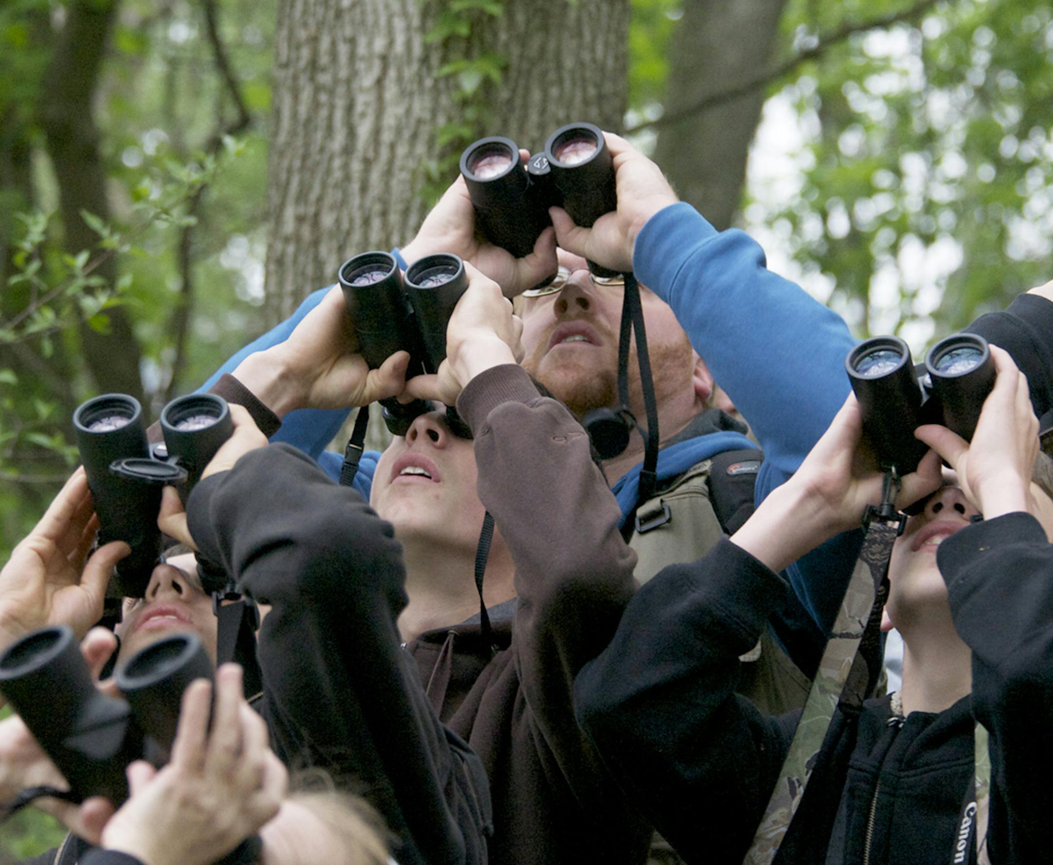 Many organizations and nature centers offer bird walks, so check web sites to find dates and times for this very popular activity. credit: Jim Williams