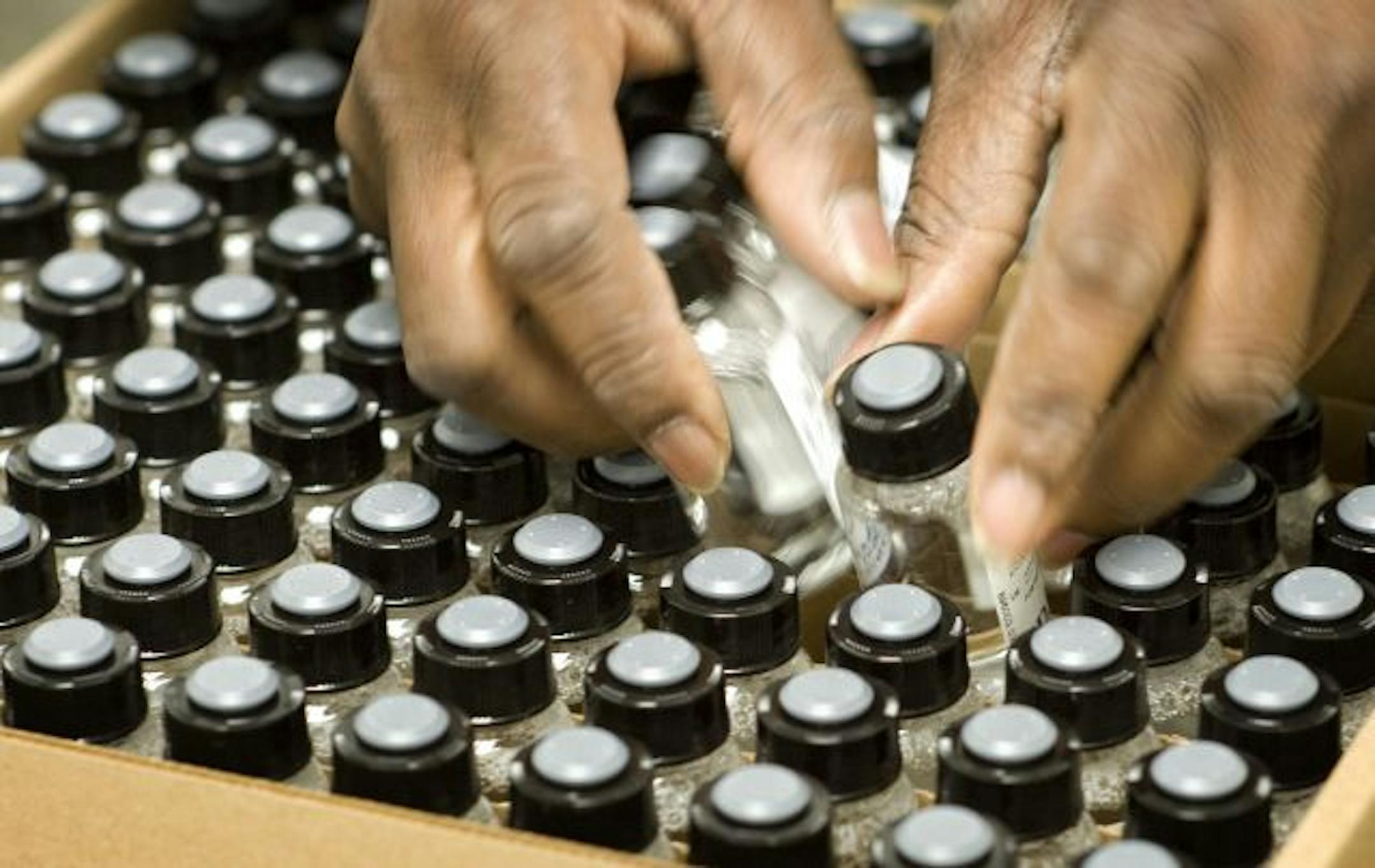 Elsa Harvey packed bottles on the R&D Systems bottling line of wash buffer, part of a product line of R&D Systems' parent company Techne.