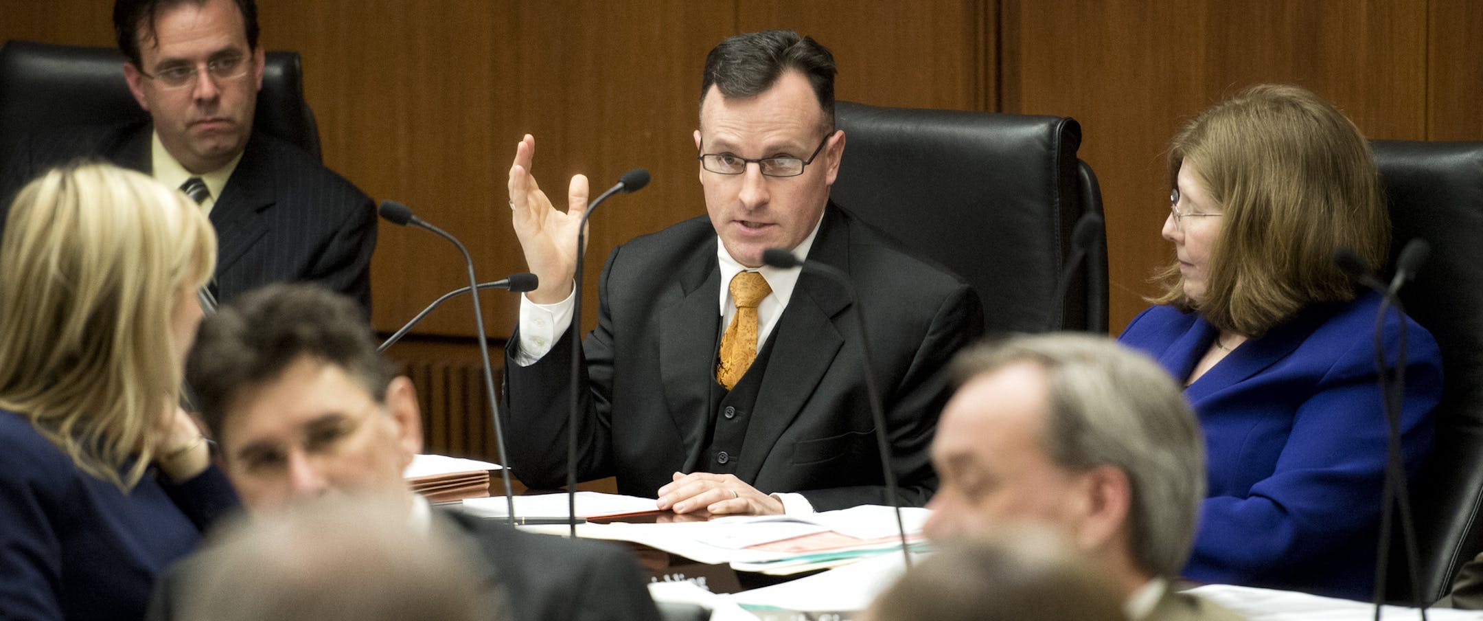 Rep. John Lesch objected to Mayo CEO John Noseworthy's 49-states remark, calling it "dumb, dumb, dumb." The House Tax Committee discusses expansion plans of the Mayo Clinic as a destination medical center. Wednesday, April 10, 2013 ] GLEN STUBBE * gstubbe@startribune.com