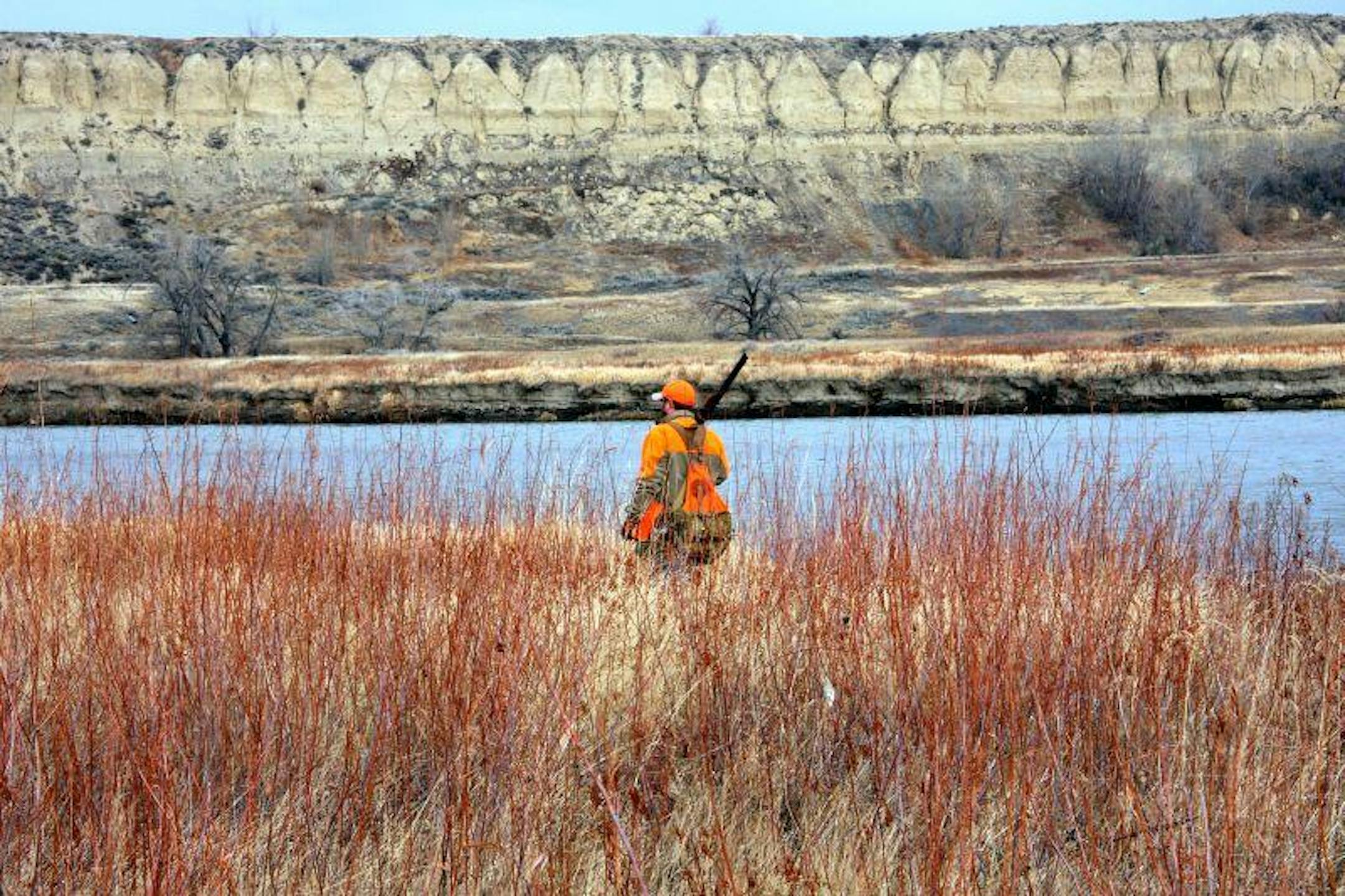 The author hunts for "Big Sky" roosters on an island in the Missouri River.