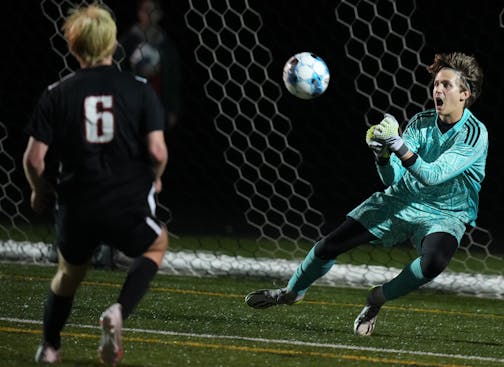 Christian Guenther (1) of Andover makes a save.