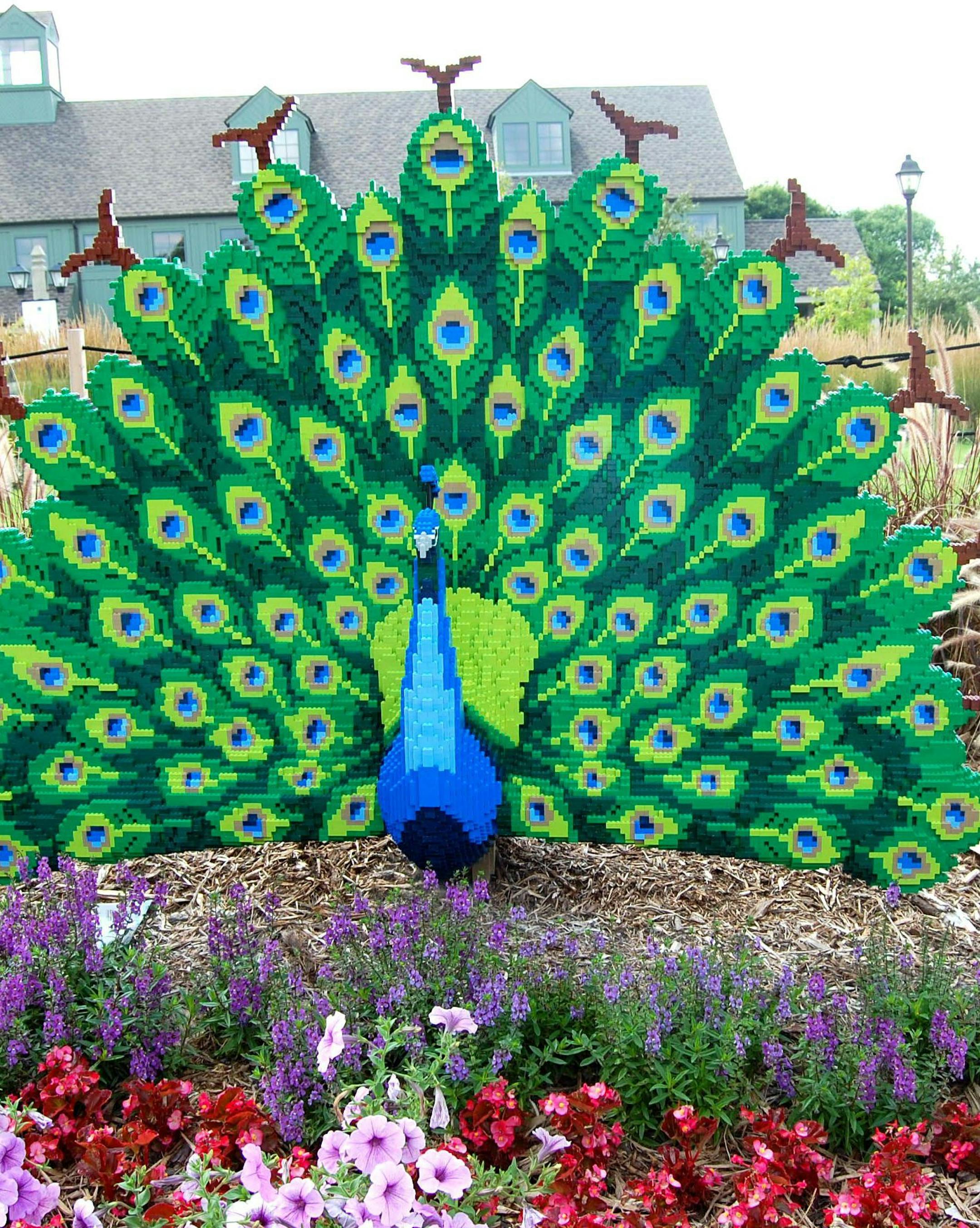 Legos peacock at the Arboretum