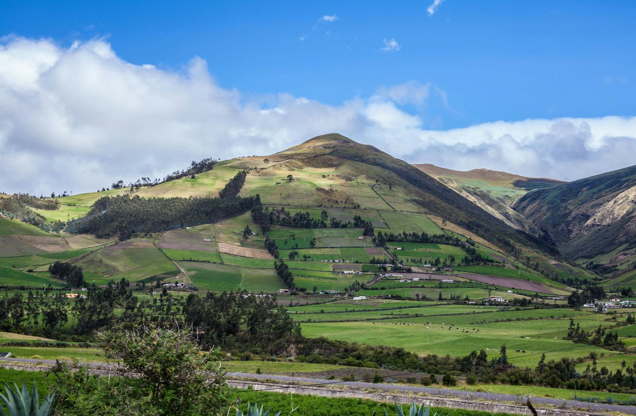 Heritage vegetables flourish with sun, mild climate, volcanic soil and high-elevation fields in Imbabura Province, Ecuador (Steve Haggerty/MCT) ORG XMIT: 1151843