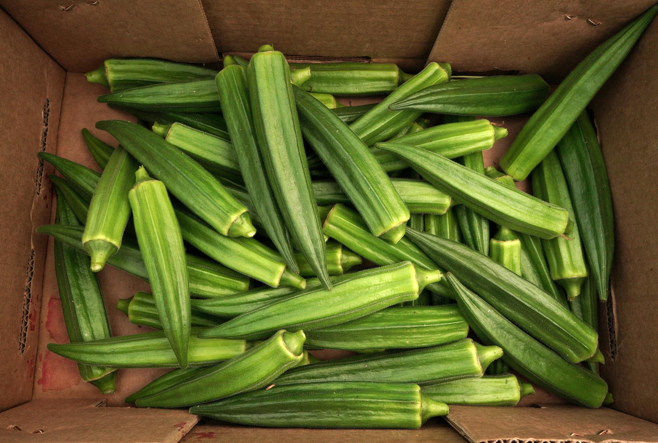It's the season for okra, harvested now at UntiedtÕs Vegetable Farm, and often used by chefs. ] brian.peterson@startribune.com
Montrose, MN
Monday, August 26, 2019