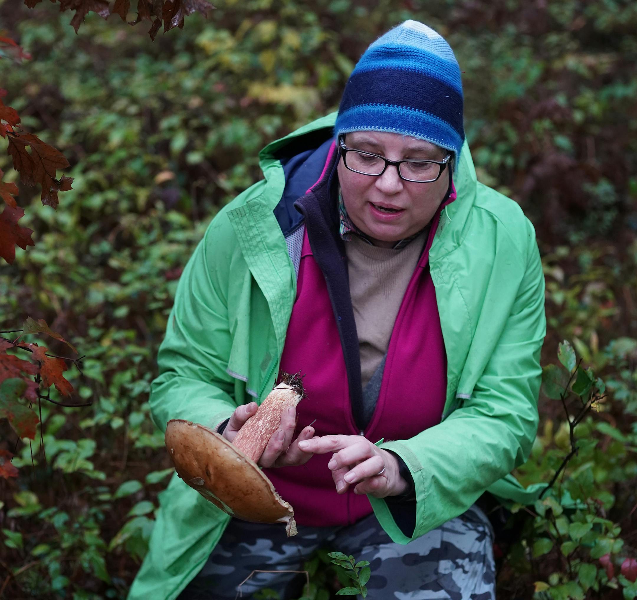 Ukrainian mushroom forager Olena Johnson has a knack for finding the edible boletes which pop up in pine forests.] Second part in our occasional series about mushroom hunters and foragers, representing different ethnic communities in the metro area. RICHARD TSONG-TAATARII ¥ richard.tsong-taatarii@startribune.com