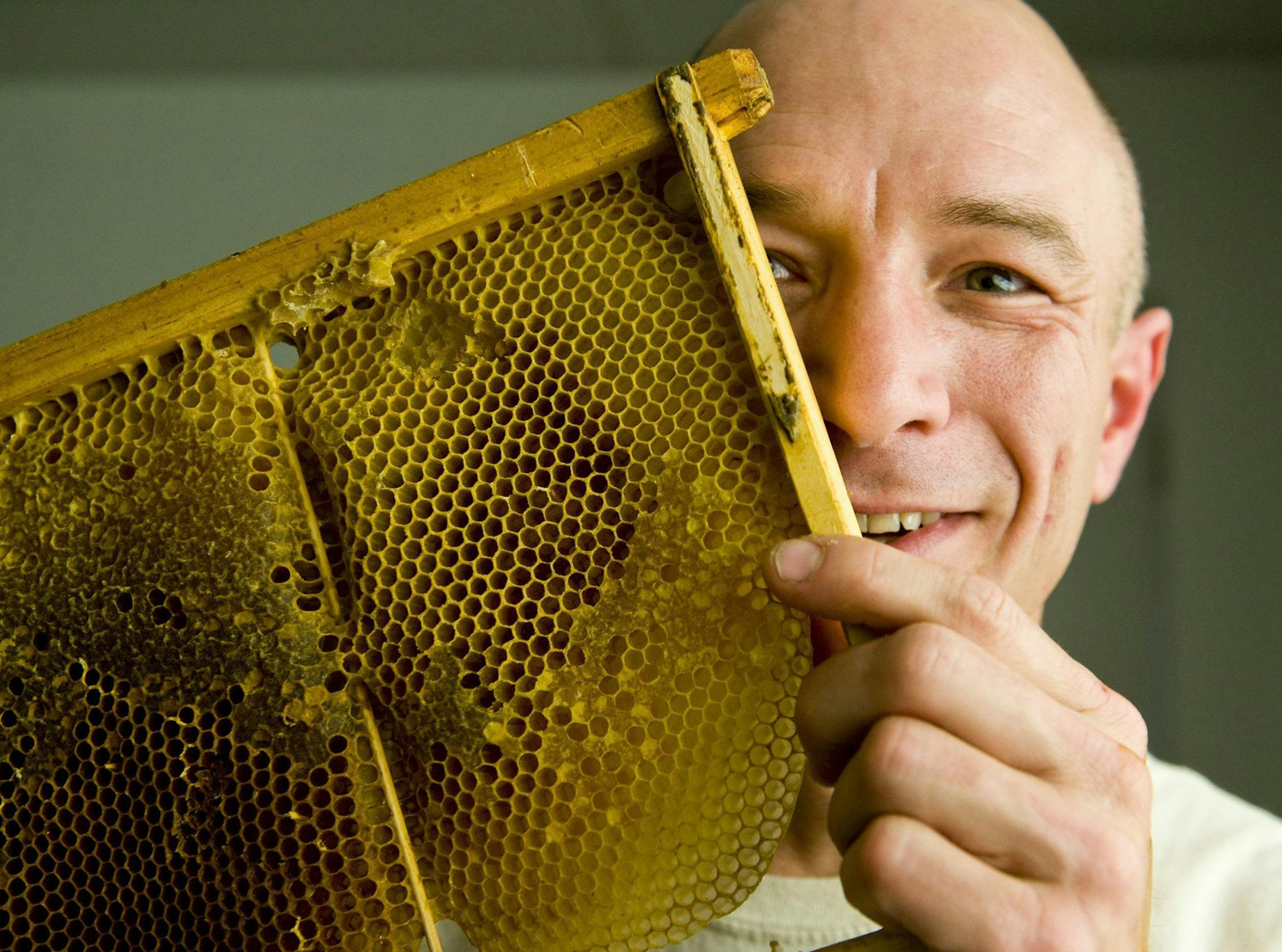 Bill Walter, founder and owner of Guerilla Beekeepers, holds a frame of honey comb from one of his bee hives at his Santa Ana, Calif., business. He obtained a low-interest business loan from Whole Foods to grow his Santa Ana, Calif., business. (Sam Gangwer/Orange County Register/MCT) ORG XMIT: 1148153