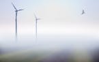 Various studies for years have tried to get some clarity on bird injuries and deaths around wind turbines. New University of Minnesota research of eag