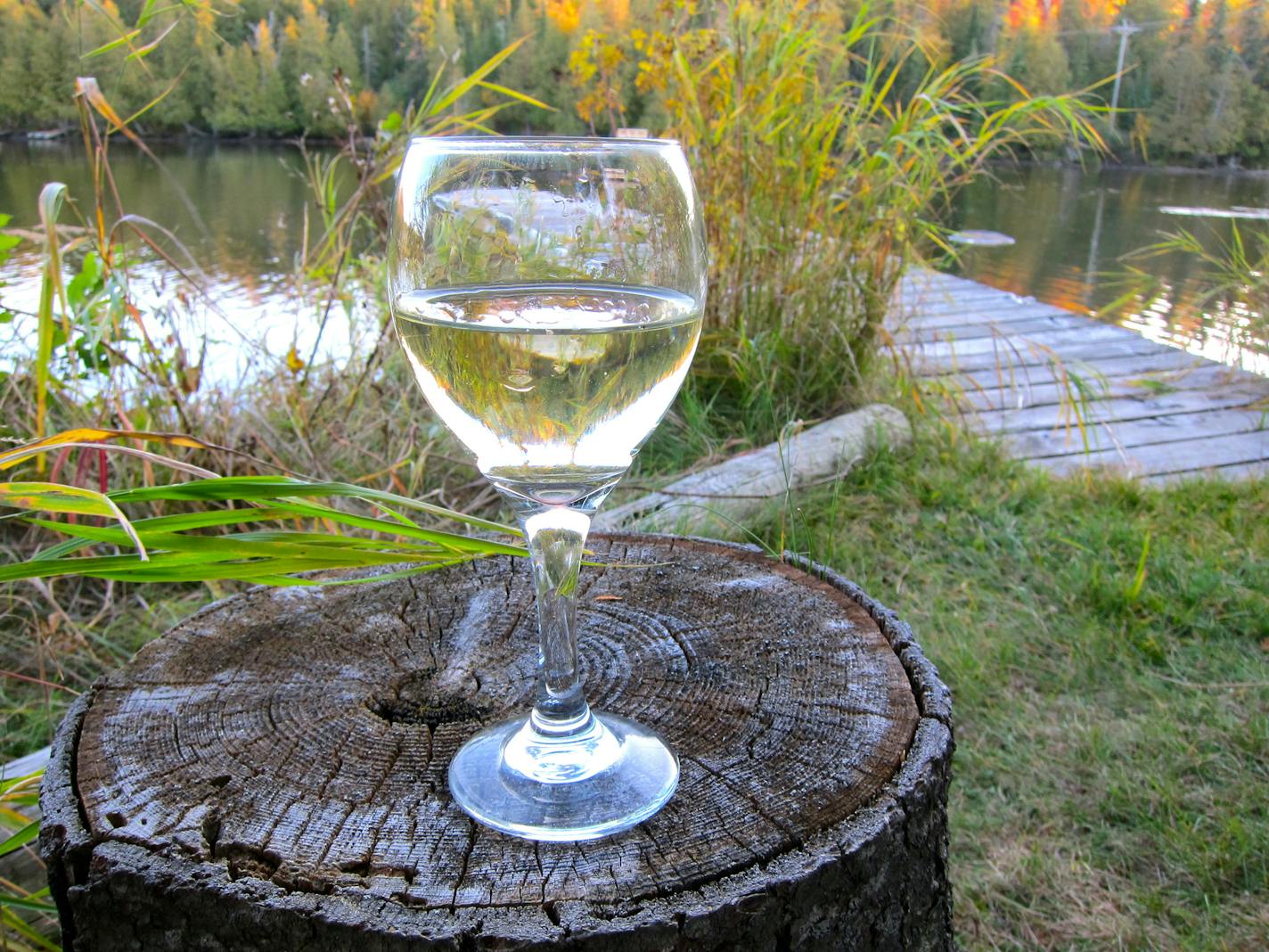 A stump serves as a fine tabletop for an evening glass of wine.