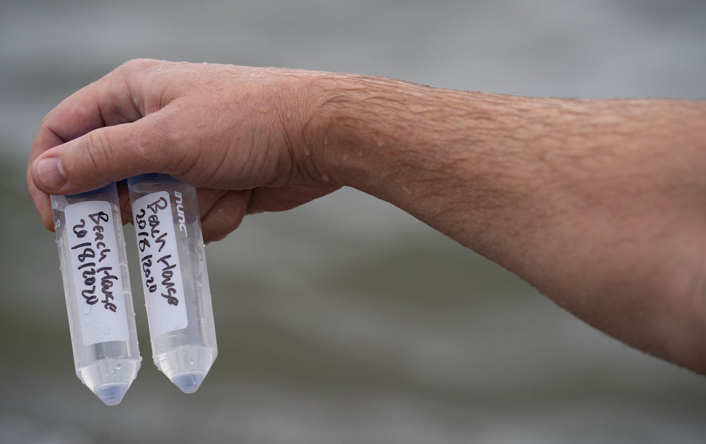 Richard Melvin, Ph.D. held out the two vials he used to collect water samples from Lake Superior near the Park Point Beach House on Saturday morning. The samples would later be tested for SARS-CoV-2, the virus that causes COVID-19. ] ALEX KORMANN • alex.kormann@startribune.com Richard Melvin, Ph.D. collected samples in Lake Superior on Park Point in Duluth on Saturday August 22, 2020. The samples will then be tested by the University of Minnesota Medical School Duluth Campus for SARS-CoV-2, the