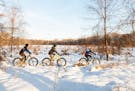 Cycling in the Minnesota River Bottoms -- perfect terrain for fatbike riding.