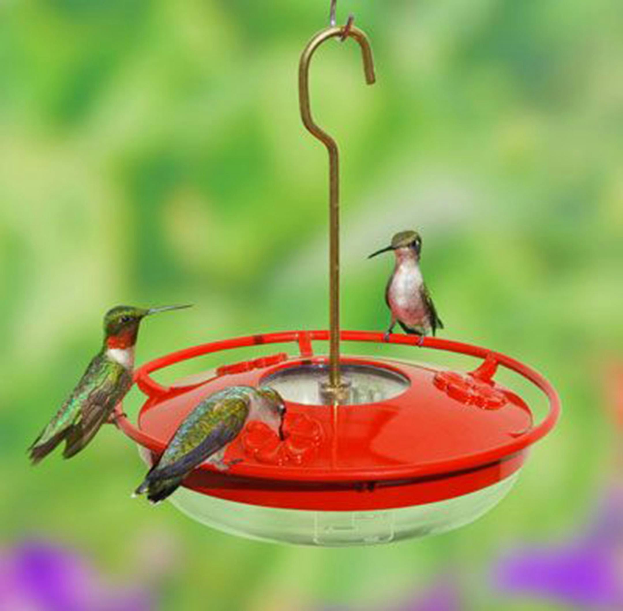 From Cole's comes a smartly designed hummingbird feeder with elevated perches for easier feeding and a built-in ant moat to keep the ants from invading and spoiling the nectar. It's about $20; go to Coleswildbird.com to find retail locations. (Photo courtesy Cole's/TNS) ORG XMIT: 1177062