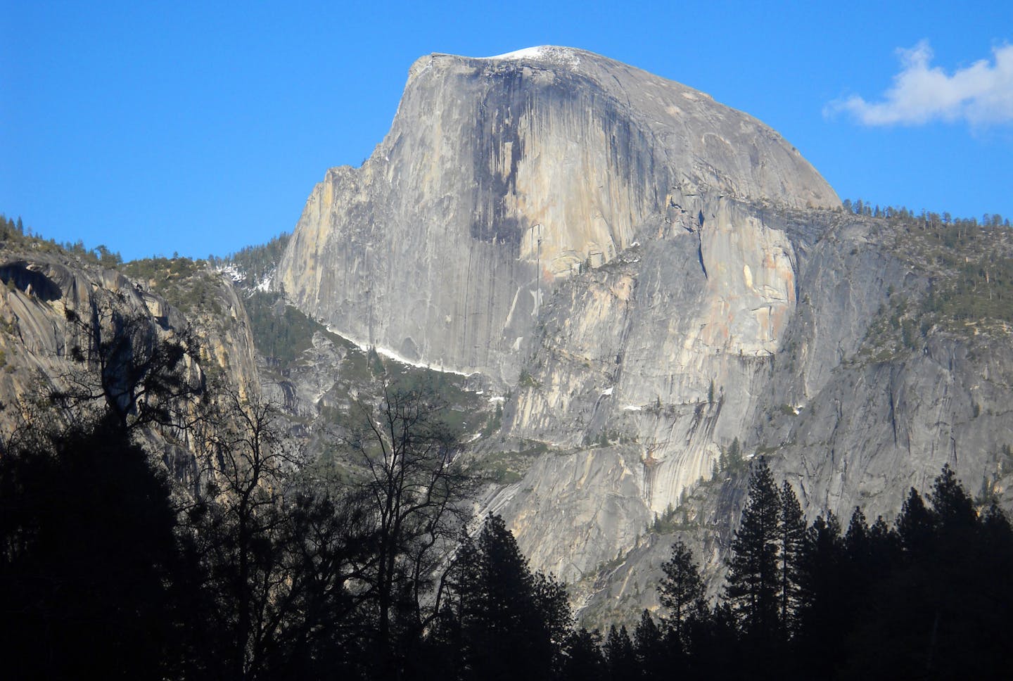 A white-knuckle climb up Yosemite's Half Dome