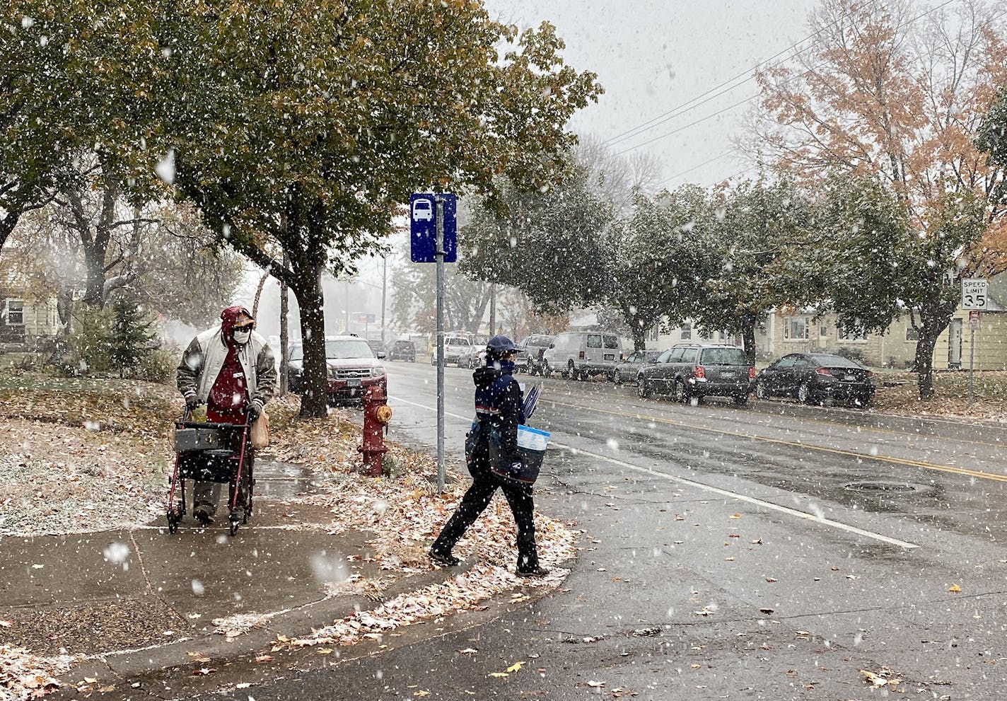 A pedestrian and mail carrier crossed paths near 61st Street and Portland Avenue as snow began to fall Tuesday in Minneapolis.