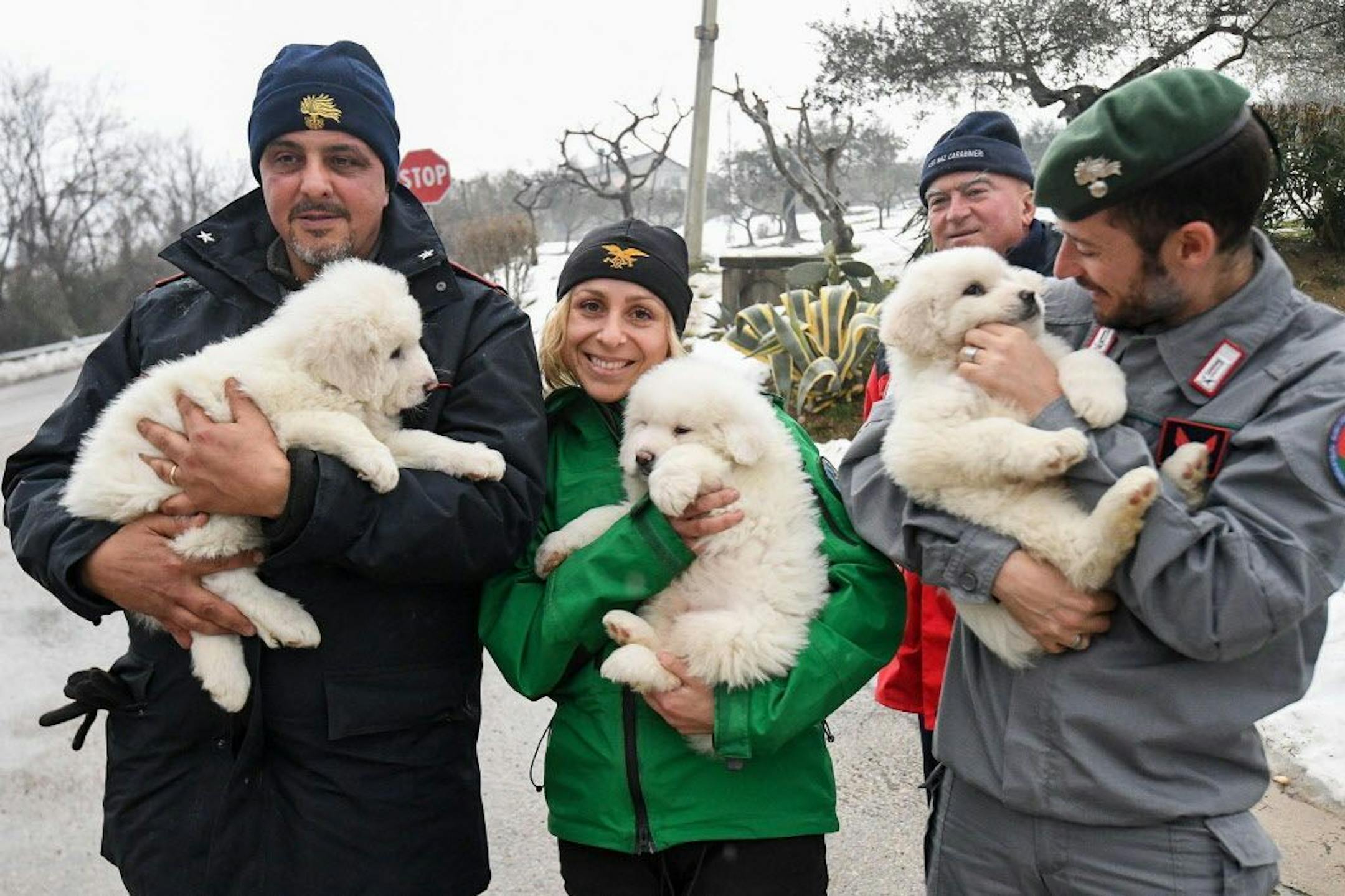 Rescuers hold three puppies that were found alive in the rubble of the avalanche-hit Hotel Rigopiano, near Farindola, central Italy, Monday, Jan. 22, 2017. Emergency crews digging into an avalanche-slammed hotel were cheered Monday by the discovery of three puppies who had survived for days under tons of snow, giving them new hope for the 23 people still missing in the disaster.
