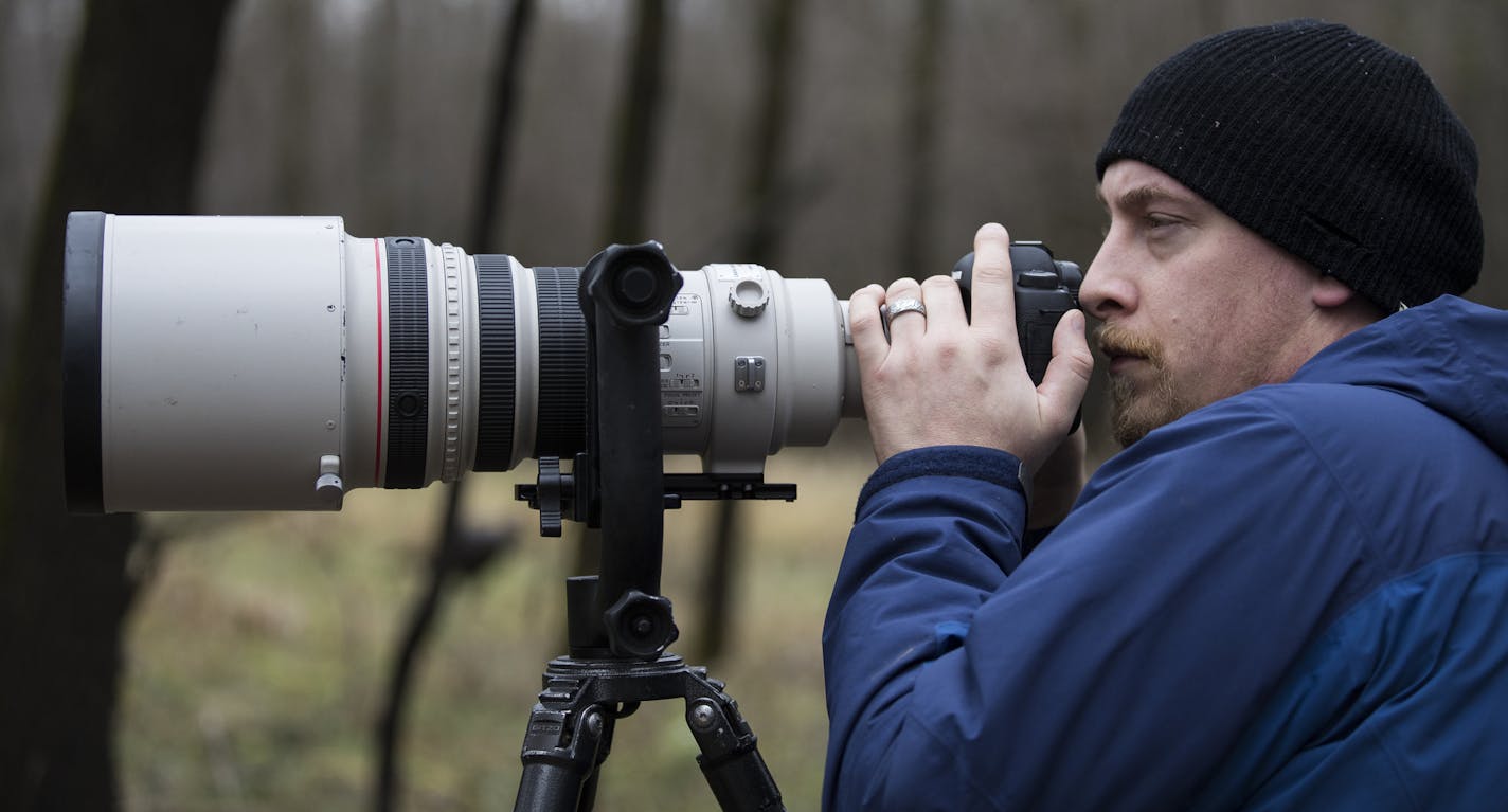 Ben Olson photographs deer with a Canon 5D Mark IV camera and a 400 2.8 lens with a 2x converter at Fort Snelling State Park. ] (Leila Navidi/Star Tribune) leila.navidi@startribune.com BACKGROUND INFORMATION: Nature photographer Ben Olson photographs wildlife at Fort Snelling State Park in St. Paul on Tuesday, November 29, 2016. Burnsville-based nature photographer Ben Olson took a photo of a yawning fox last summer that won him an award in the international Nature's Best Photography Magazine an