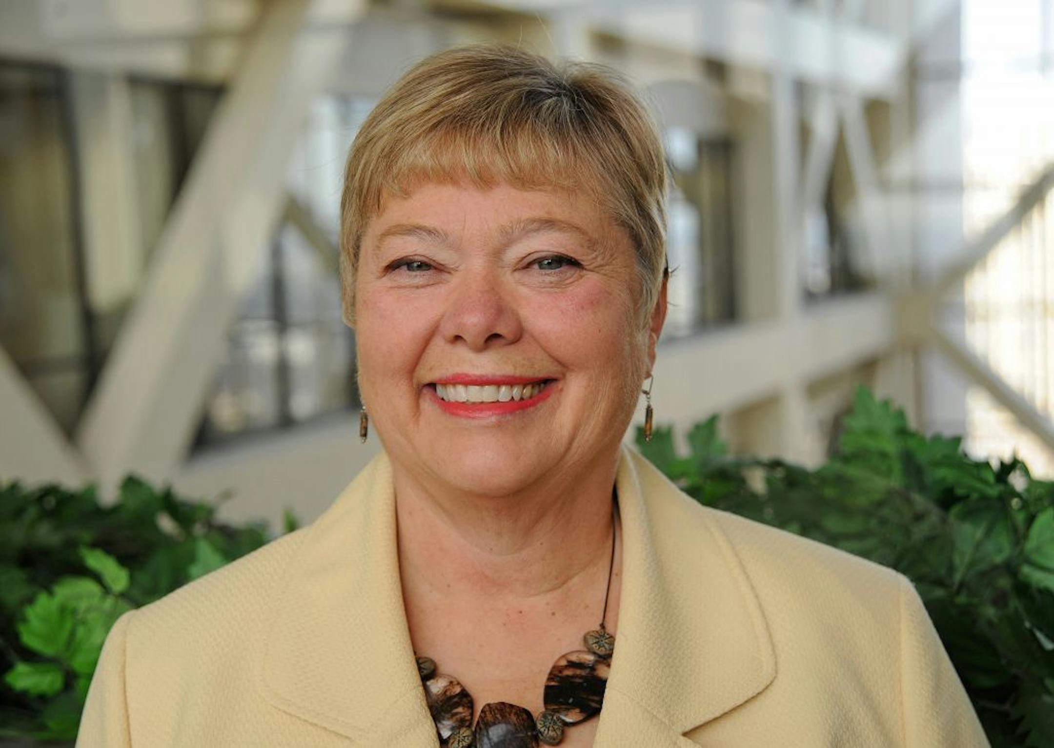 Newly elected Hennepin County Commissioner, Linda Higgins posed for a portrait in the Hennepin County Government Building on Wednesday, November 28, 2012.