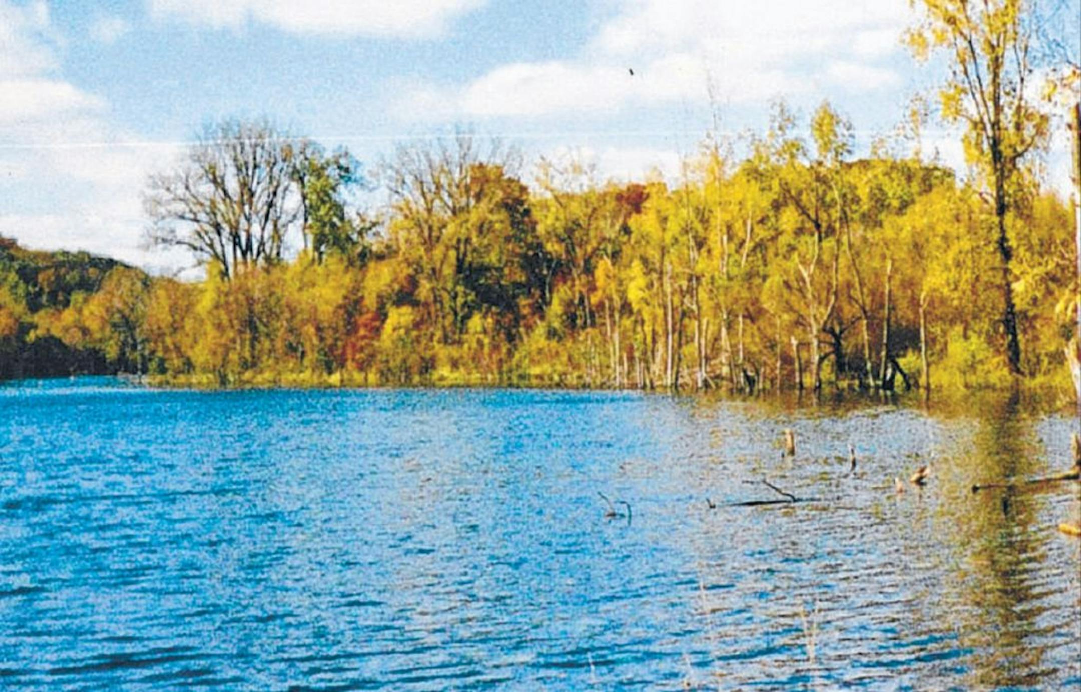 Provided photoShoreline along a chain of lakes in Inver Grove Heights.