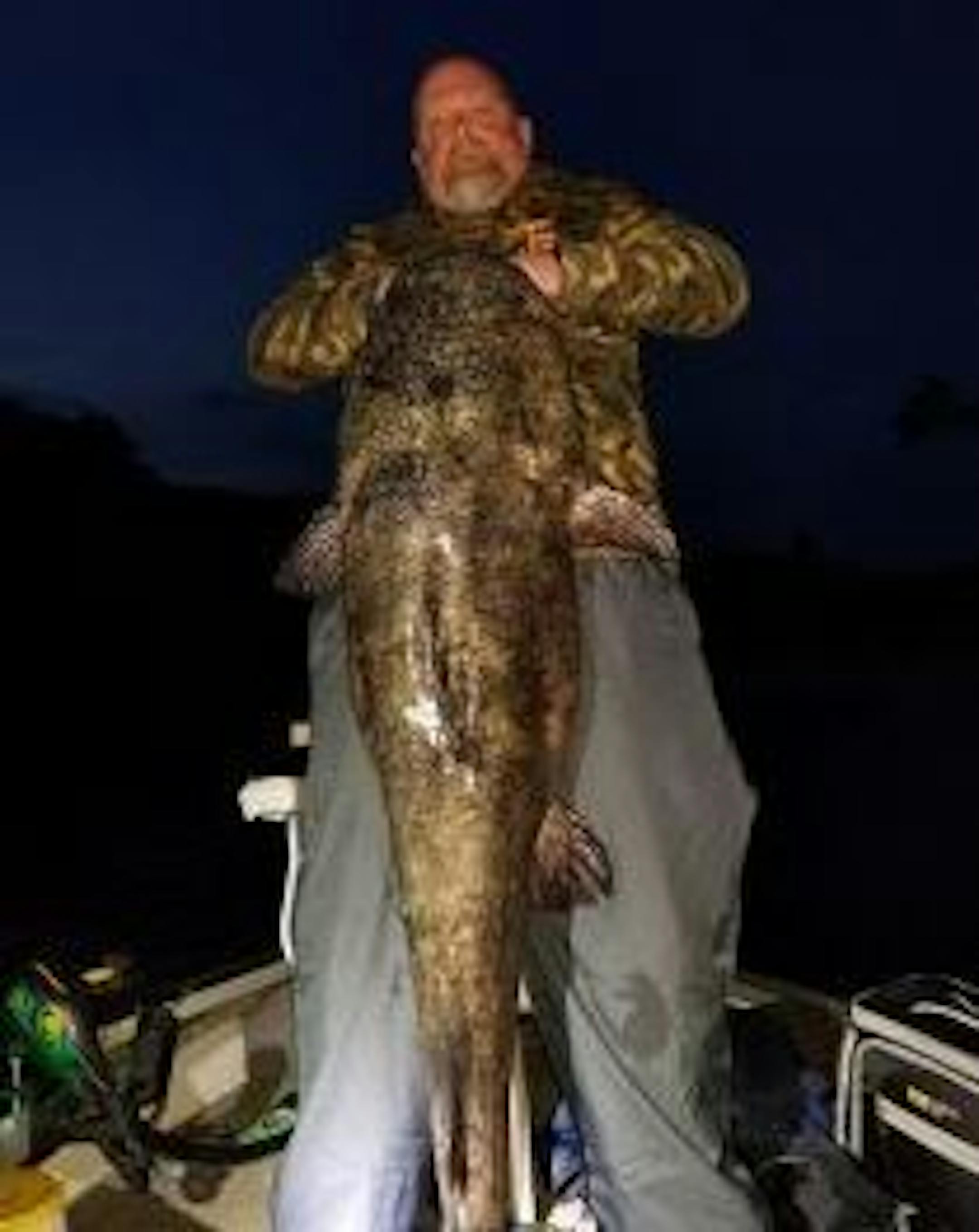 Mark Mosby of St. Anthony with the flathead catfish that set a state record in the catch-and-release length category. Mosby caught it in the St. Croix River near Stillwater on Aug. 2.