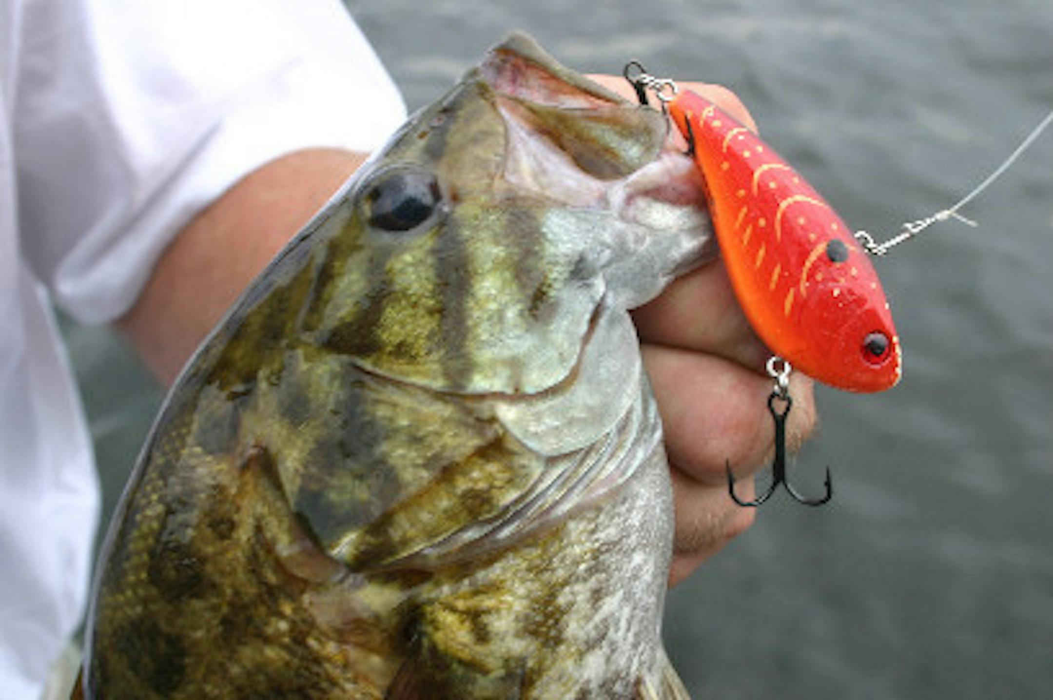 Crankbaits like this lipless version work great on river systems