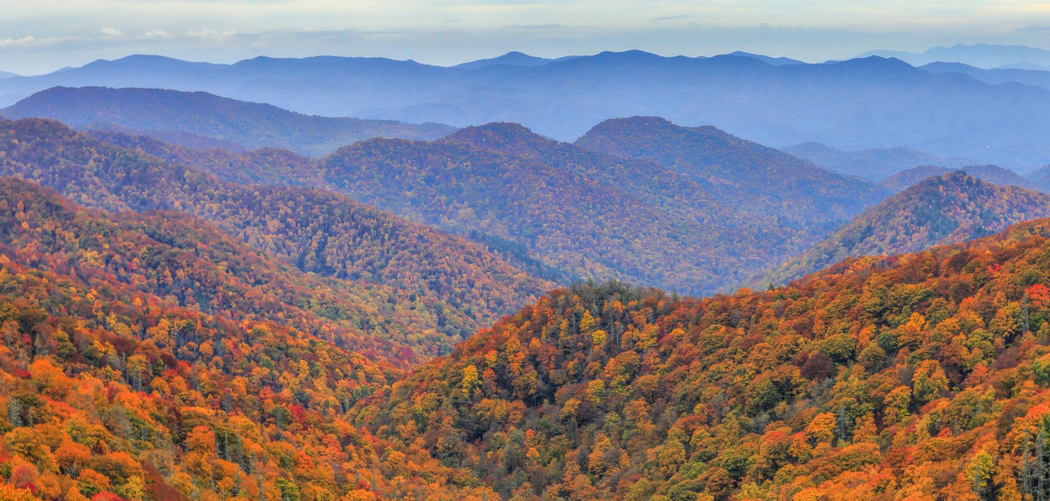 The National Park Service is trying to find the least known of the early settlers in the Great Smoky Mountains, the enslaved people brought there in the 1800s, using ground-penetrating radar to find their graves. (Dreamstime/TNS)