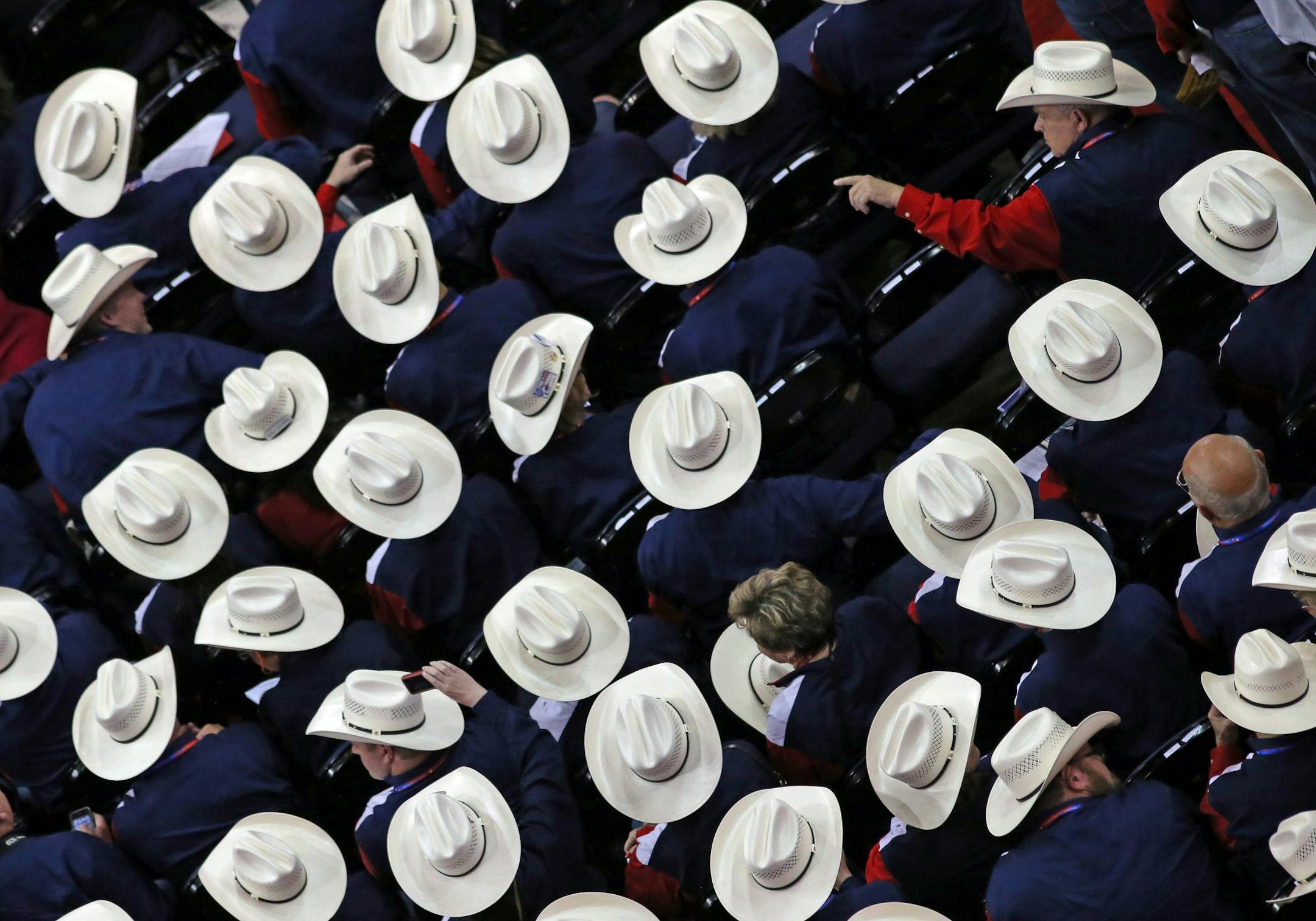 The Texas delegation at the Republican National Convention in August, 2012.