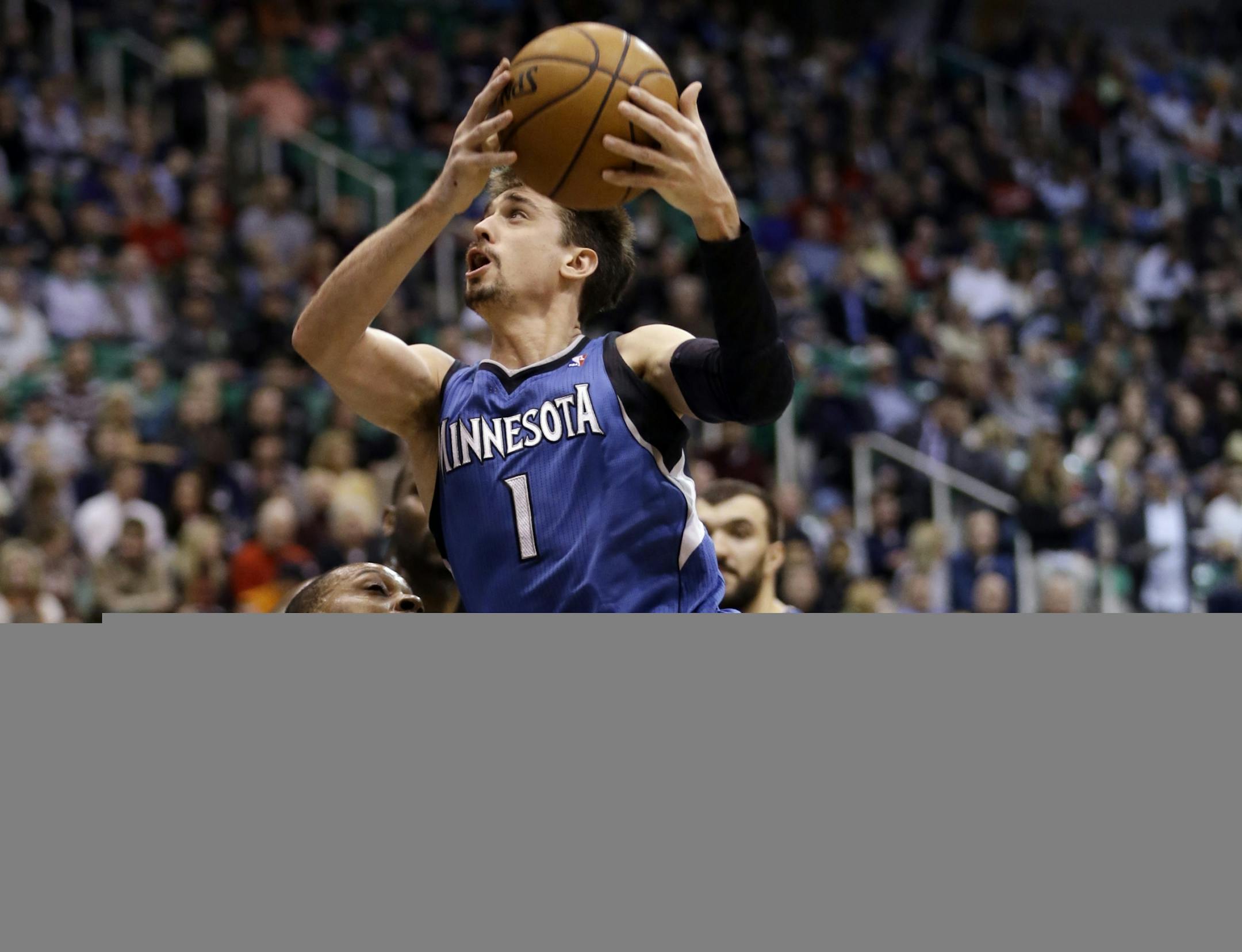 Wolves guard Alexey Shved