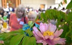 The Minnesota State Horticultural Society held the Spring Garden Gala to raise funds for the educational programs and in support of Northern Gardener 