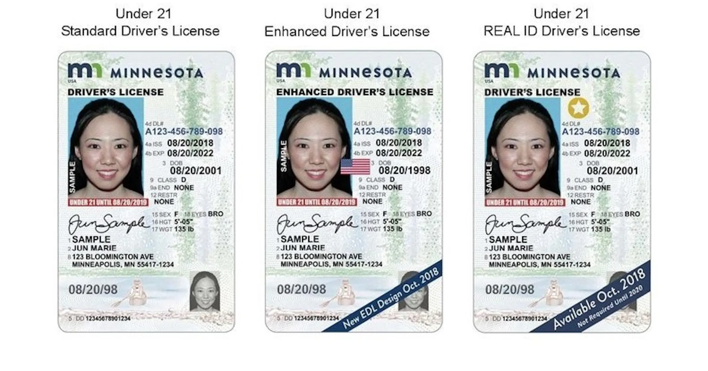 Mn Crust Id Using Machine Learning Minnesota: Driver’S License _ Types Of Drivers Licenses In Minnesota ...