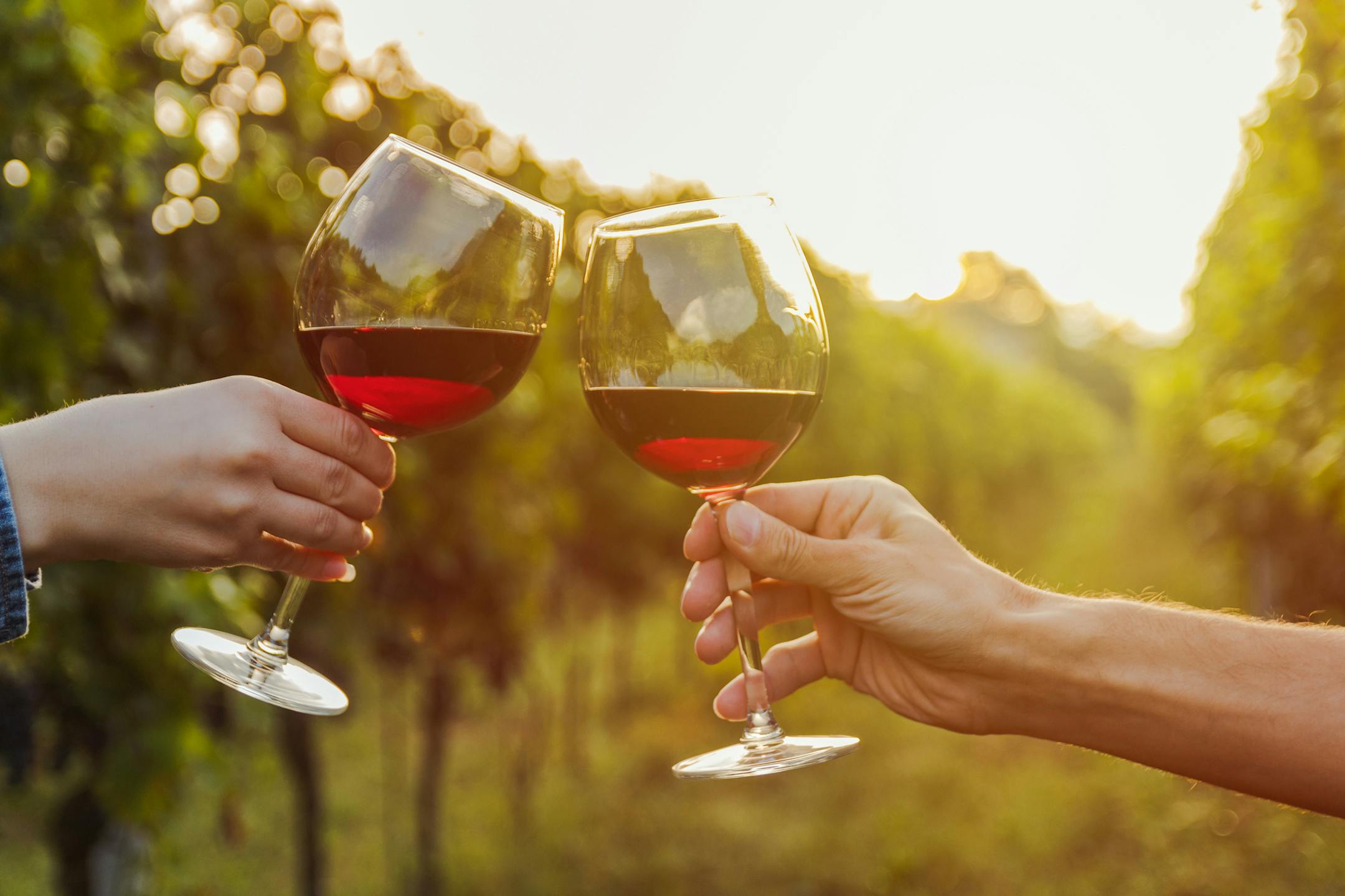two glasses of cocktail making cheers. grapevine in Ticino istock