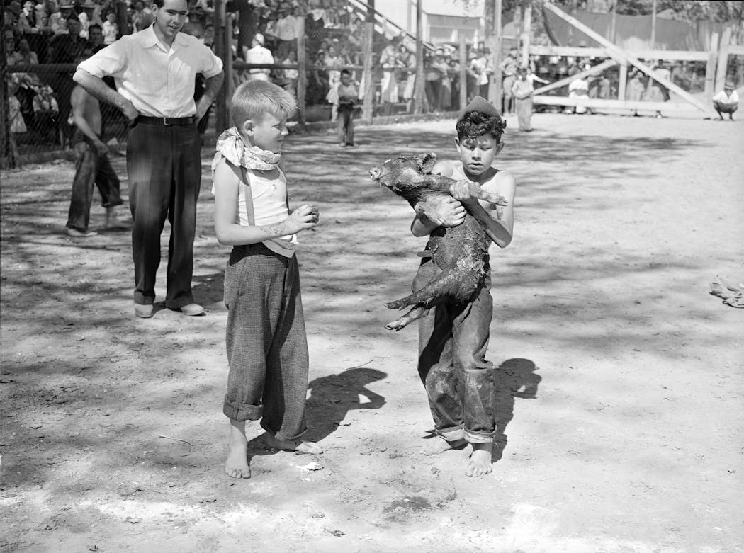 A boy in Oregon held the greased pig he caught during a contest there in 1941.