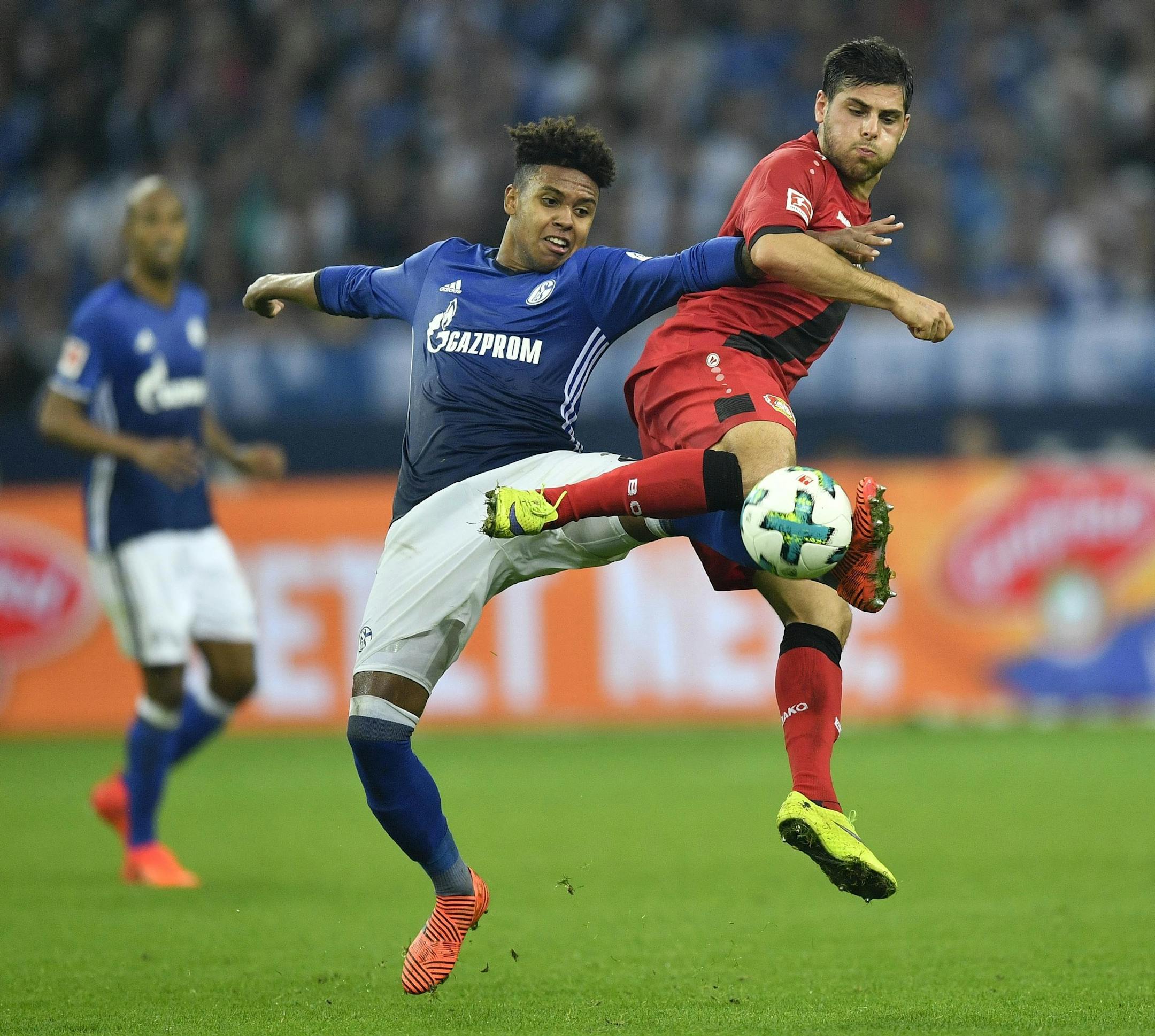Schalke's Weston McKennie, left, and Leverkusen's Kevin Volland challenge for the ball during the German Bundesliga soccer match between FC Schalke 04 and Bayer Leverkusen at the Arena in Gelsenkirchen, Germany, Friday, Sept. 29, 2017. (AP Photo/Martin Meissner) ORG XMIT: MIN2017092918040032