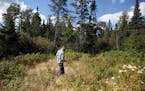 David Hughes of PolyMet walked on the proposed site near Hoyt Lakes. The project prompted a decade of environmental review.