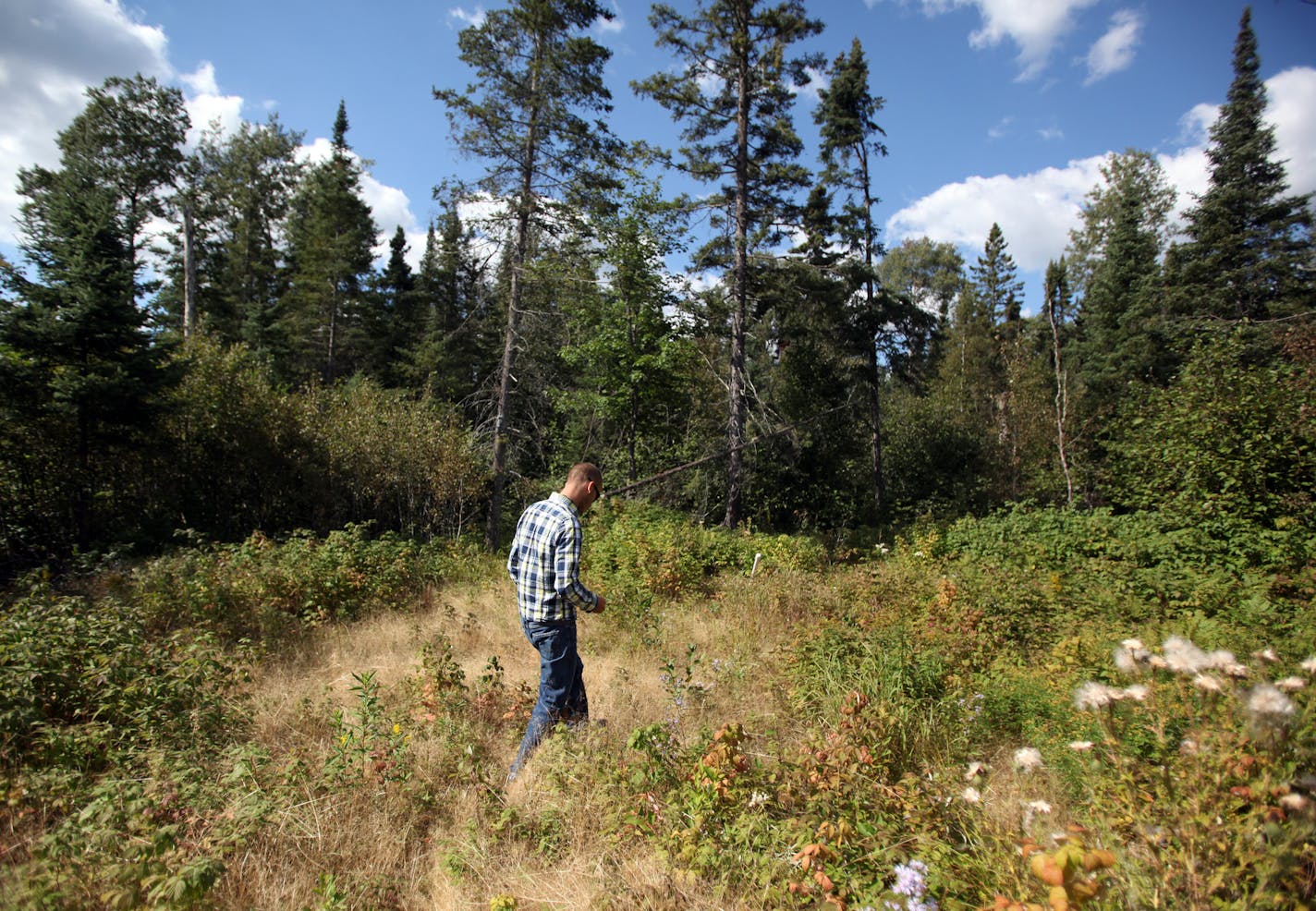 David Hughes of PolyMet walked on the proposed site near Hoyt Lakes. The project prompted a decade of environmental review.