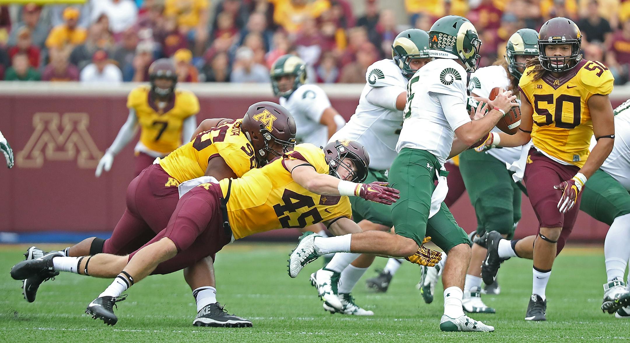 Minnesota's linebackers Carter Coughlin, left, and Jack Lynn stopped Colorado State's quarterback Collin Hill in the second quarter as the Gophers took on Colorado State at TCF Bank Stadium, Saturday, September 24, 2016 in Minneapolis, MN.