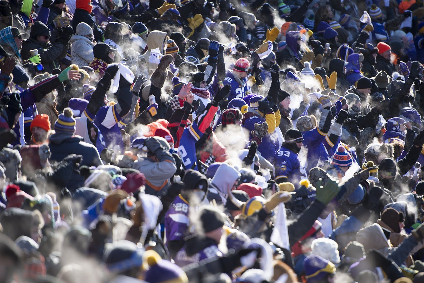 Air from breath condensed as it hit the air as Vikings fans celebrated a first down in the first quarter Sunday. ] (AARON LAVINSKY/STAR TRIBUNE) aaron.lavinsky@startribune.com The Minnesota Vikings played the Seattle Seahawks in the Wild-Card round of the NFL Playoffs on Sunday, Jan. 10, 2016 at TCF Bank Stadium in Minneapolis, Minn.