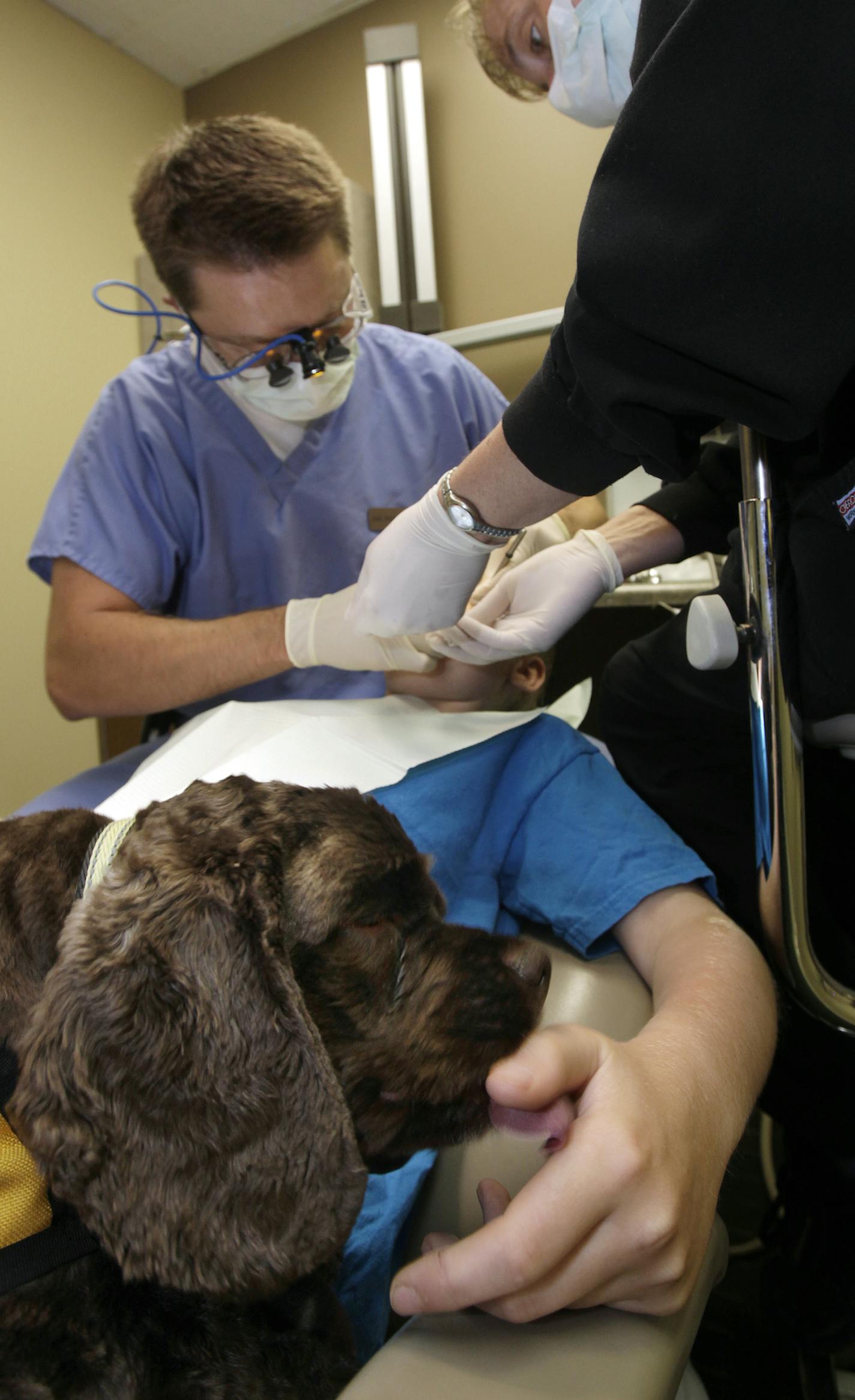 Patient Hugh Witzmann of Maplewood pets Molly (dog) as Dr. Brian Kraby and Mary Reck prepare to fill a cavity at Applewood Family Dental in Woodbury, MN on August 13, 2013. ] JOELKOYAMA&#x201a;&#xc4;&#xa2;joel koyama@startribune