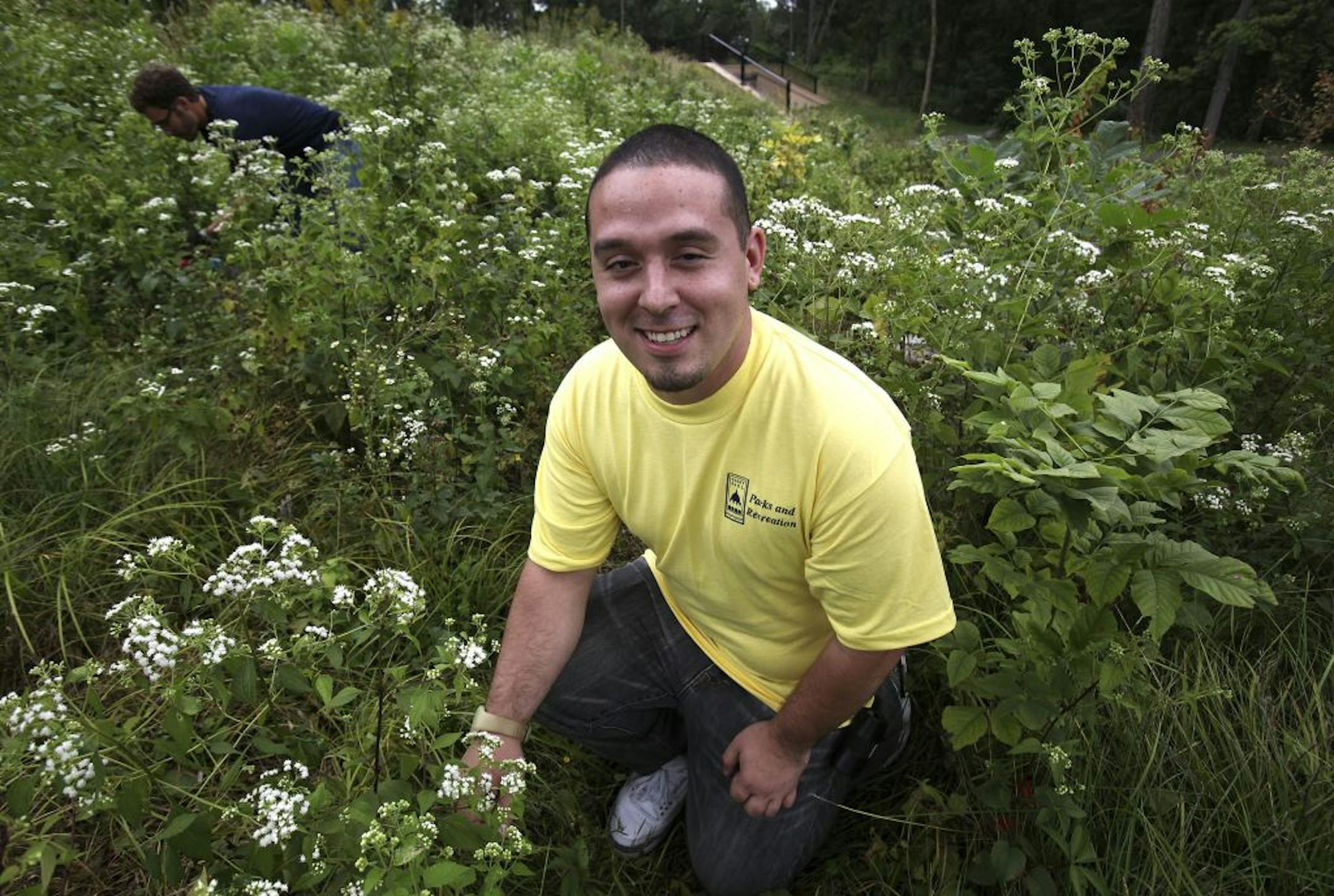 Andy Rodriguez, the new St. Paul volunteer coordinator, at Como Park. He's looking for lots of help weeding and planting in the city's parks.