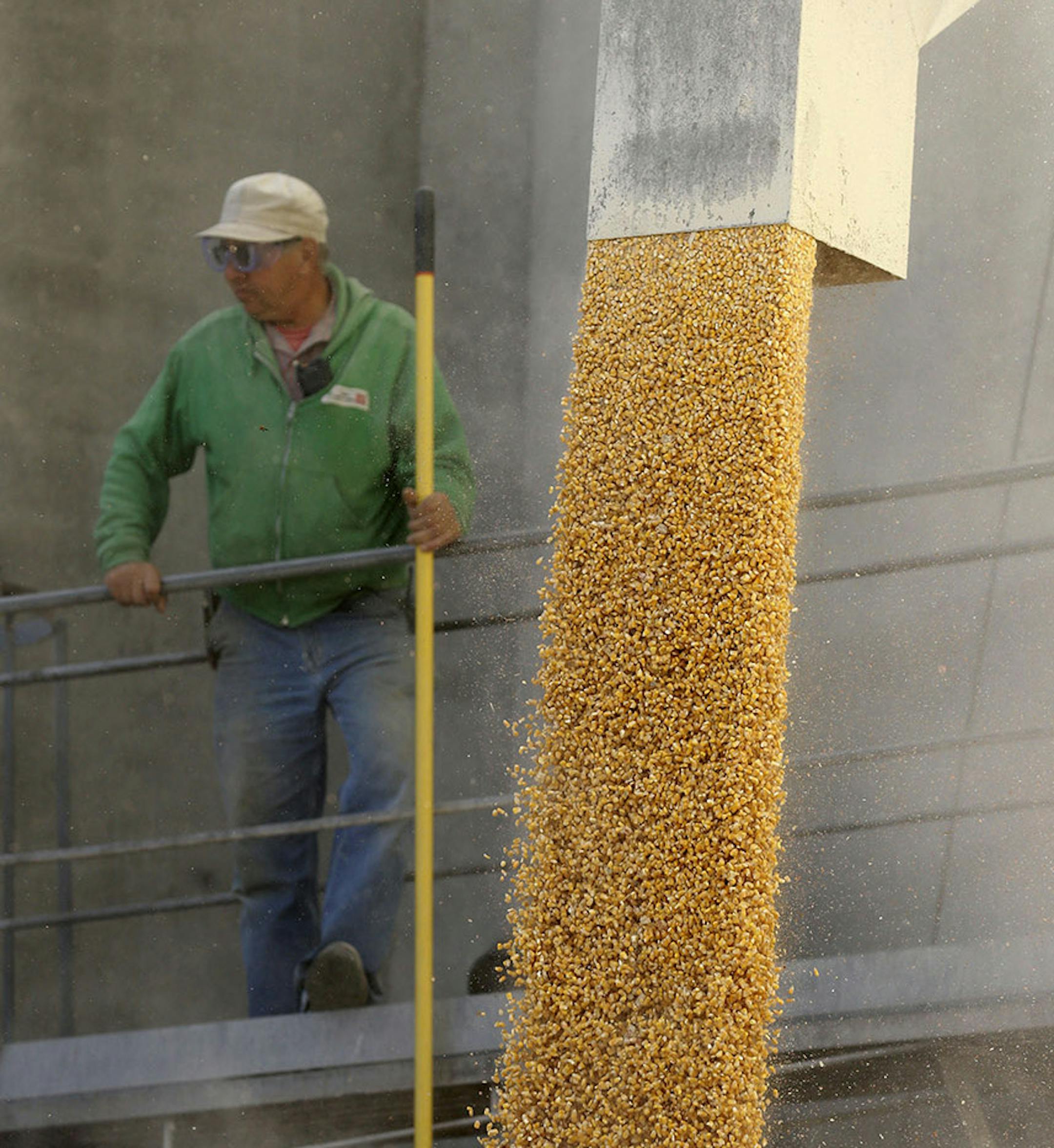 FILE - In this Oct. 7, 2013 photo, elevator employee Dennis Black loads corn into a trailer for area farmer at the North Iowa Cooperative in Thornton, Iowa. Farmers in many states are surprised at the abundance of corn coming from their fields, and record harvests are likely in many states. (AP Photo/Charlie Neibergall) ORG XMIT: MIN2013110818050477