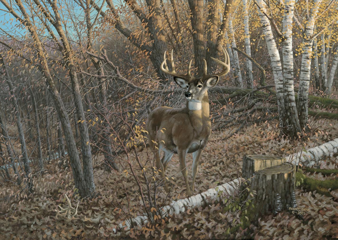 Bow-hunting whitetailed deer is a passion for artist Michael Sieve, who captioned this oil painting of a royal buck "Great Eight''