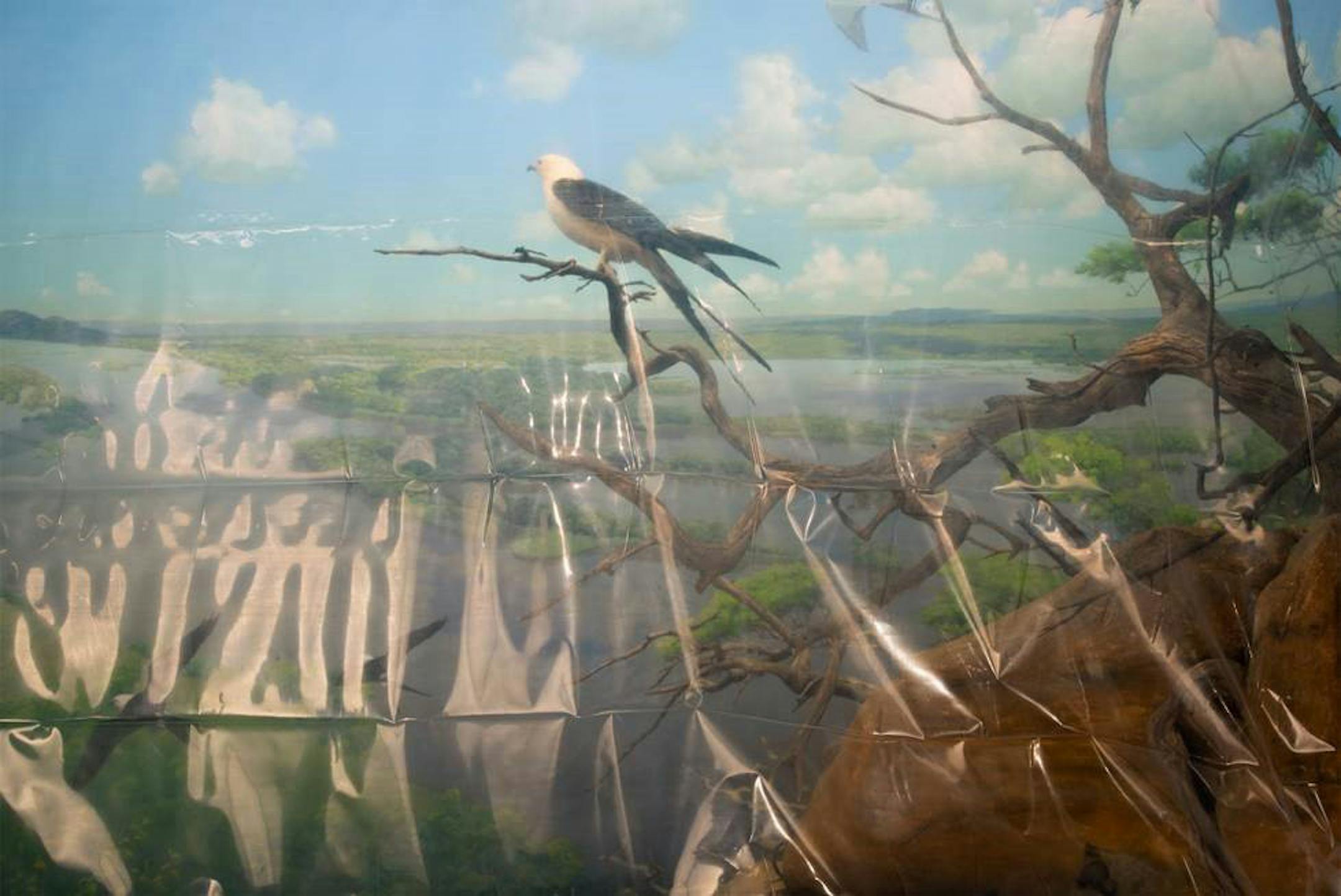 "Preservation Had Its Share of Irony" by Jeff Millikan