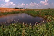 The newly constructed Prairie Wetlands Learning Center (PWLC) will have a grand opening on Saturday, August 8. Checking out some of the unique feature