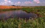 The newly constructed Prairie Wetlands Learning Center (PWLC) will have a grand opening on Saturday, August 8. Checking out some of the unique feature