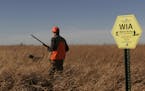 Minnesota's hunter walk-in access program received three more years of funding recently from the U.S. Department of Agriculture. Star Tribune file pho