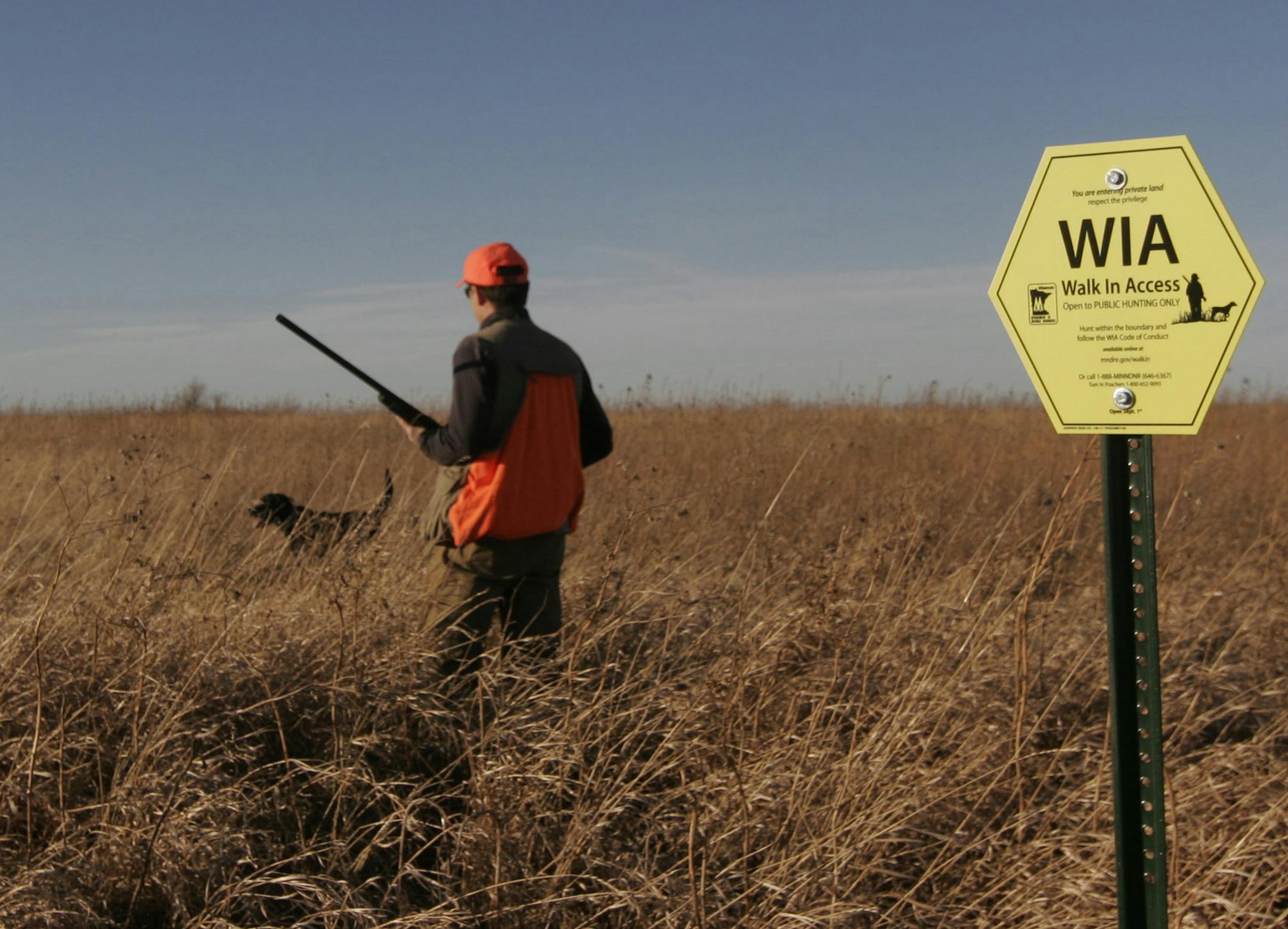 Minnesota's hunter walk-in access program received three more years of funding recently from the U.S. Department of Agriculture. Star Tribune file photo by Doug Smith. ORG XMIT: MIN2014071012571128