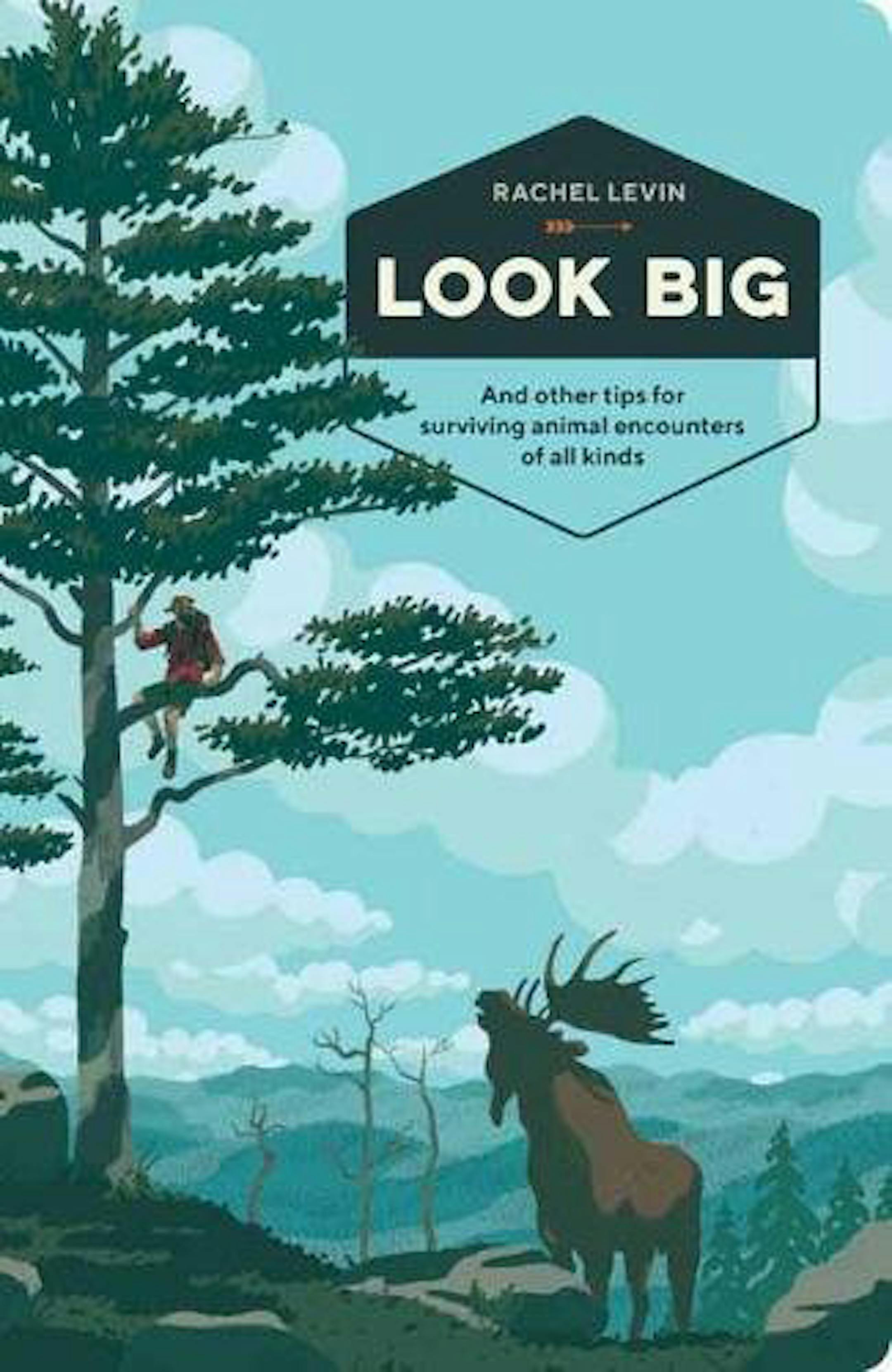 "Look Big," spring release 2018