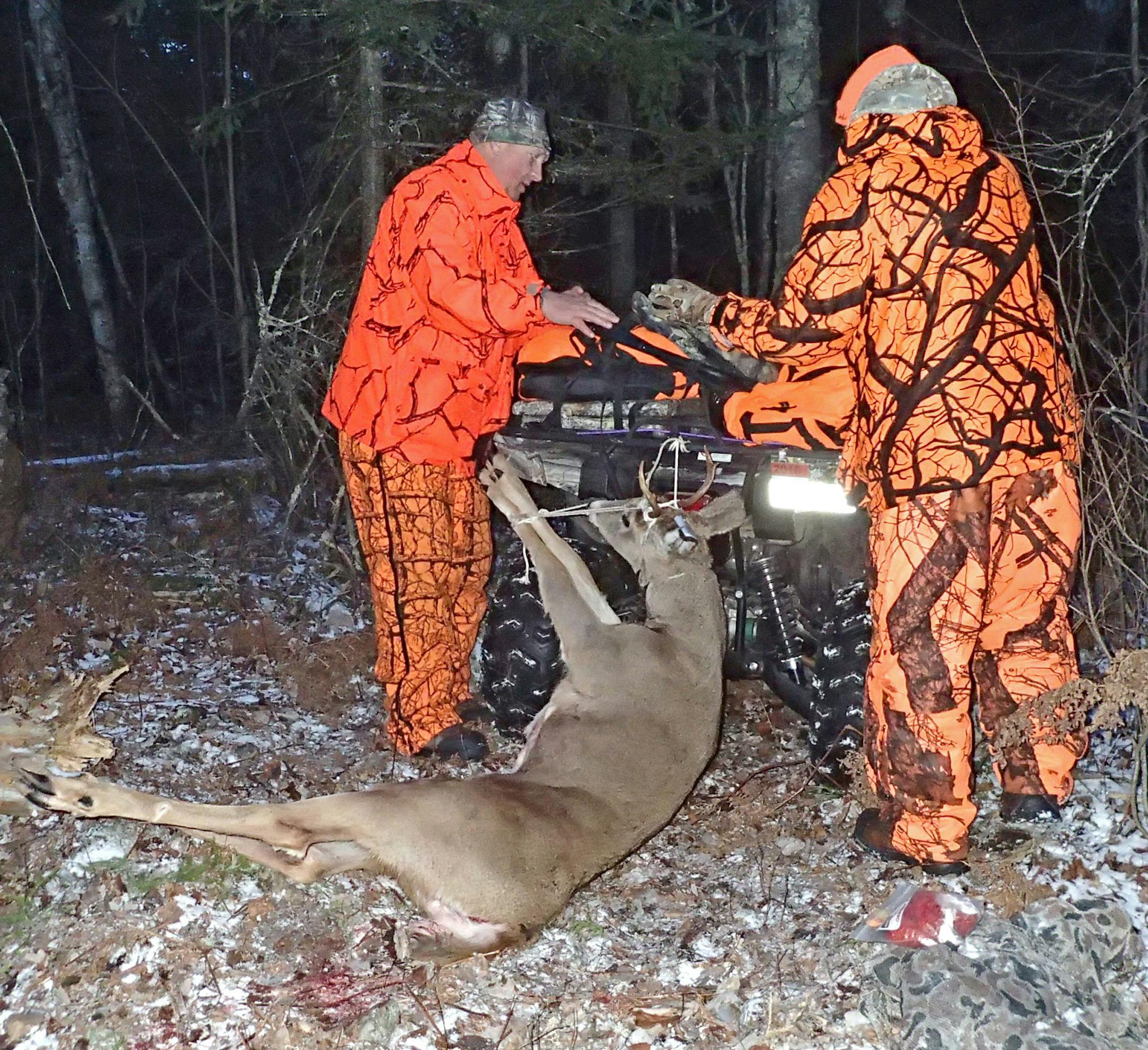Dick Anderson, left, of Eveleth, and his son, Brian, of Champlin, tie a buck Brian shot to a four-wheeler to be hauled out of the woods at the end of hunting on opening day.