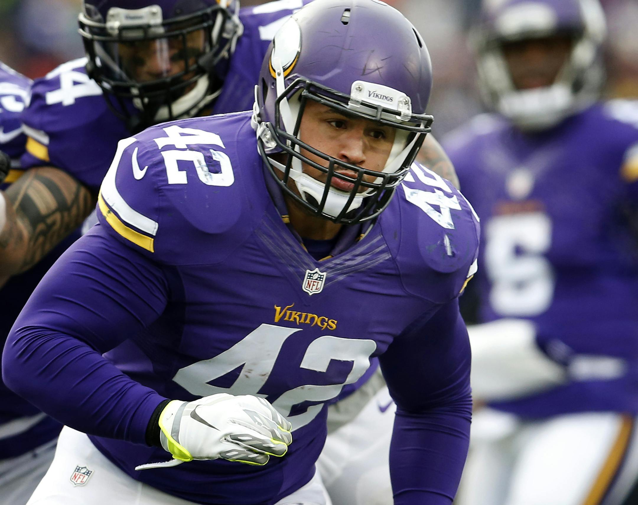 Minnesota Vikings Jerome Felton (42). ] CARLOS GONZALEZ cgonzalez@startribune.com - December 28, 2014, Minneapolis, Minn., TCF Bank Stadium, NFL, Minnesota Vikings vs. Chicago Bears