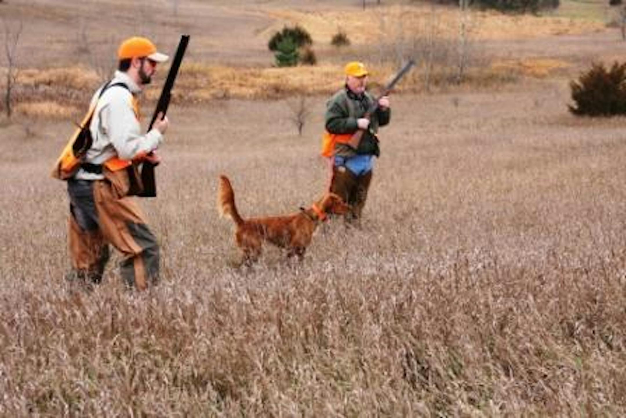 The author (far left) approaching a concealed rooster earlier this fall.