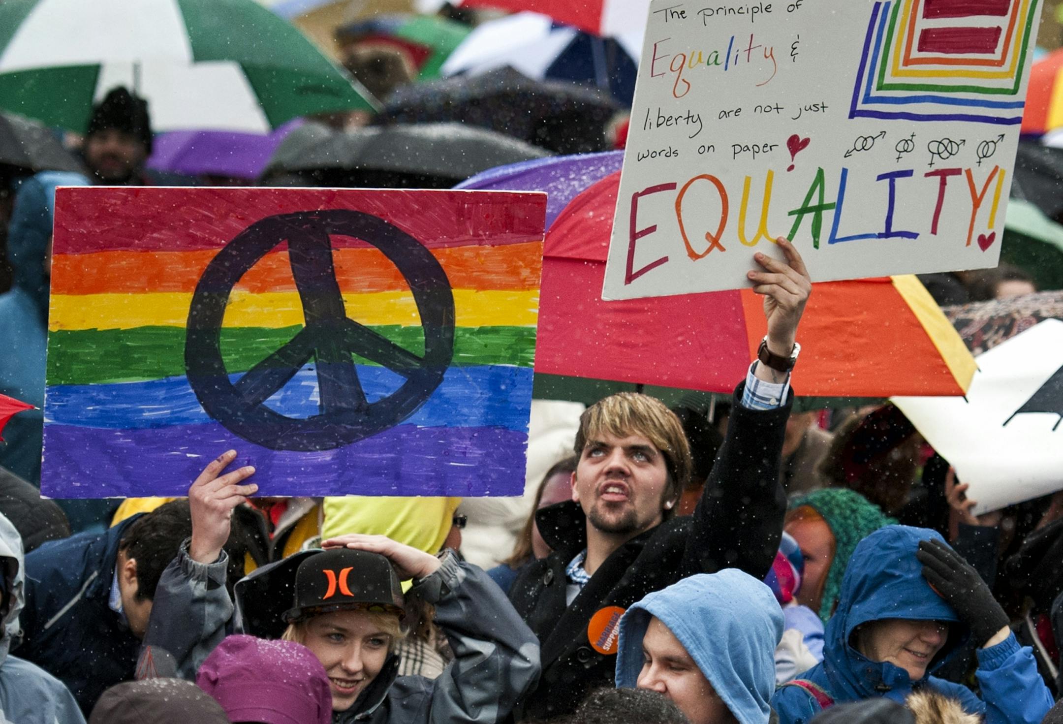 Hundreds of Minnesotans from around the state rallied in front of the State Capitol last month in support of same-sex couples to be allowed to marry.