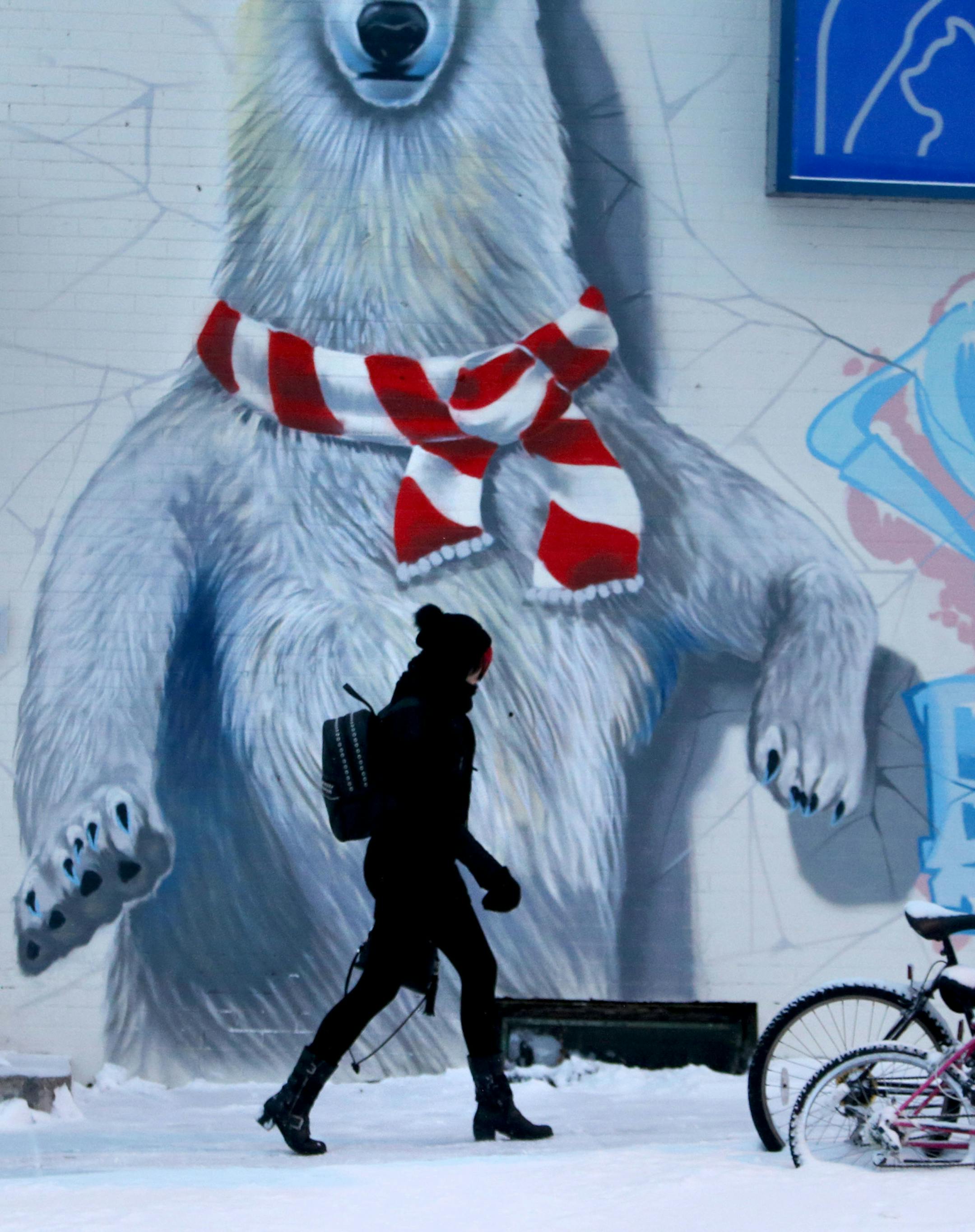 A polar bear painted onto the side of an animal hospital at Hennepin Ave. S. and 26th St. S. hovers over a pedestrian walking past Tuesday, Dec. 29, 2015, in Minneapolis, MN. What could have been a big, frightful snow storm turned out to be about five inches or less in the metro by Tuesday morning.](DAVID JOLES/STARTRIBUNE)djoles@startribune.com A potentially large snow dump turned out to be about fives inches or less in the metro as a major winter stormed dumped much more snow in southern Minne